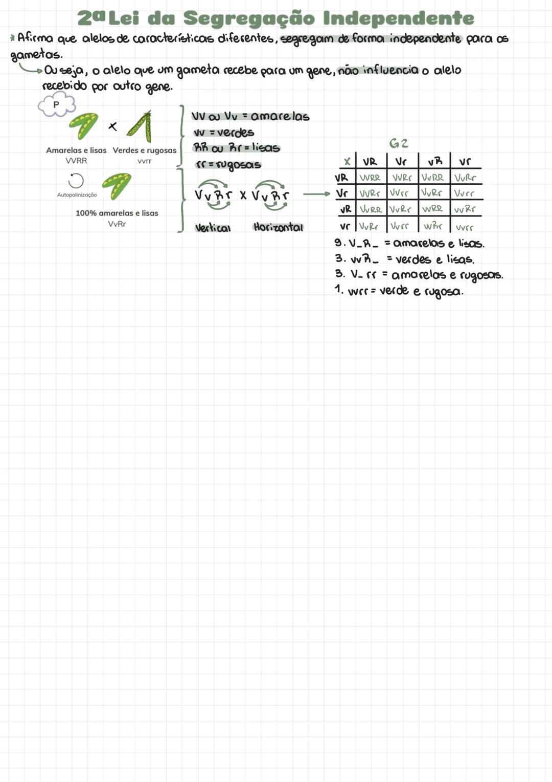 Leis de Mendel
Gregor Mendel (1822 - 1884)
*Considerado pai da genética.
*Em 1860, realizou experimentos com ervilhas, avaliando a hereditar