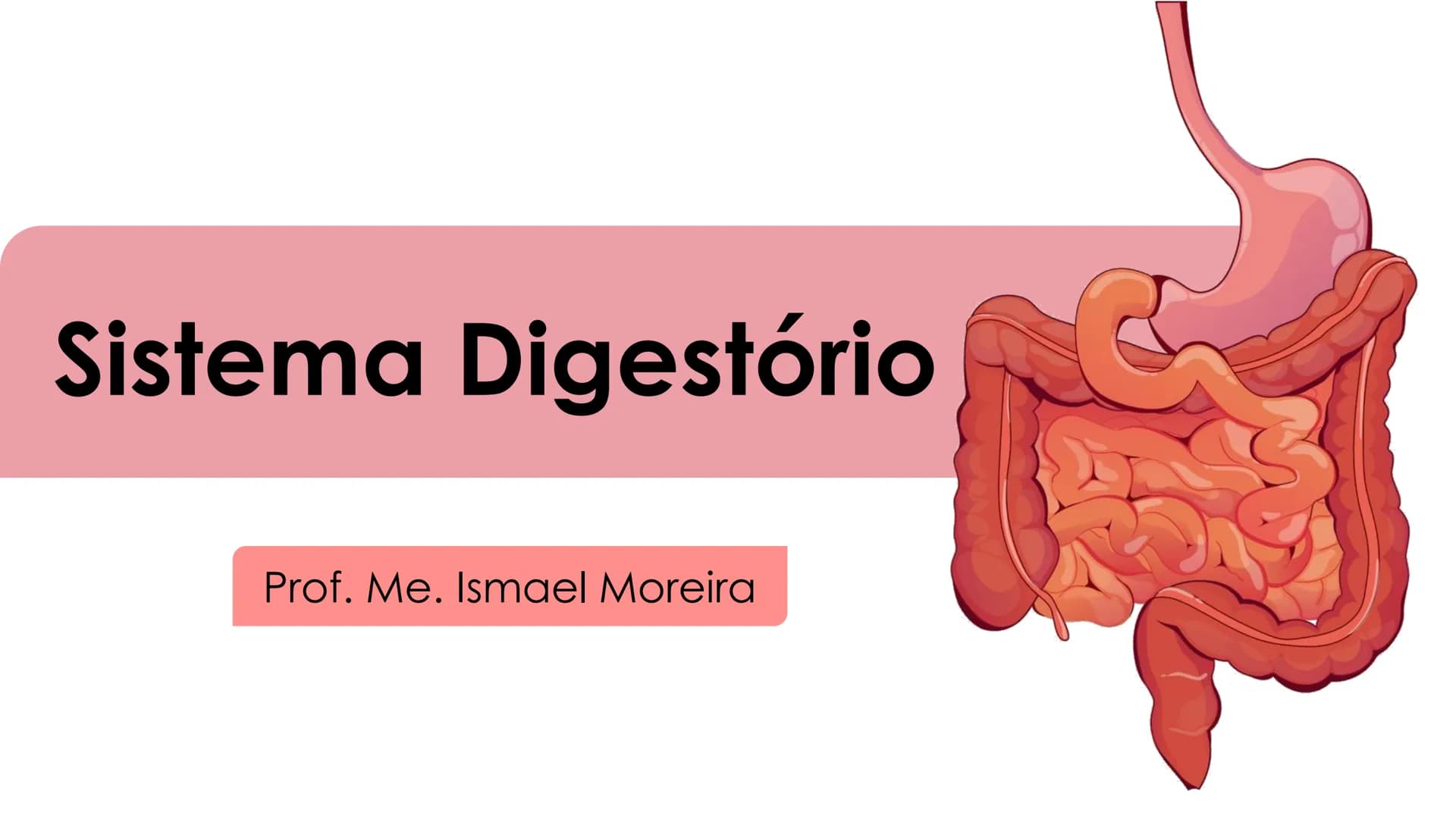 # Sistema Digestório
Prof. Me. Ismael Moreira ## Objetivos
• **Conhecer** as principais estruturas que compõem os sistemas cardiovascular