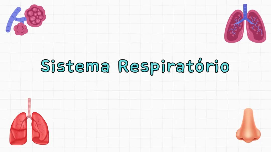 Sistema respiratório
