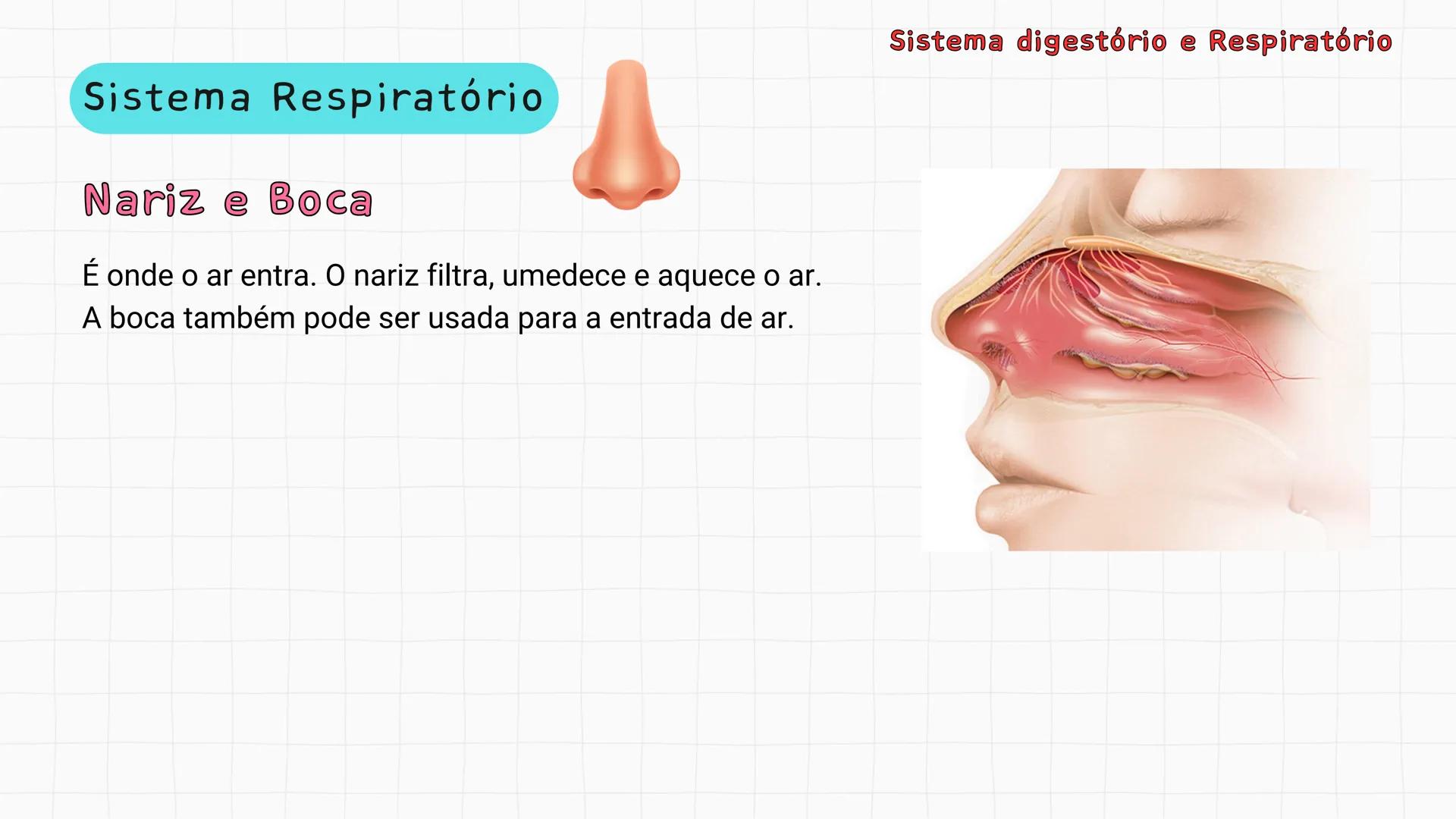 ## Sistema Respiratório # Sistema digestório e Respiratório
Por que respiramos sem perceber? Sistema digestório e Respiratório
Por que resp