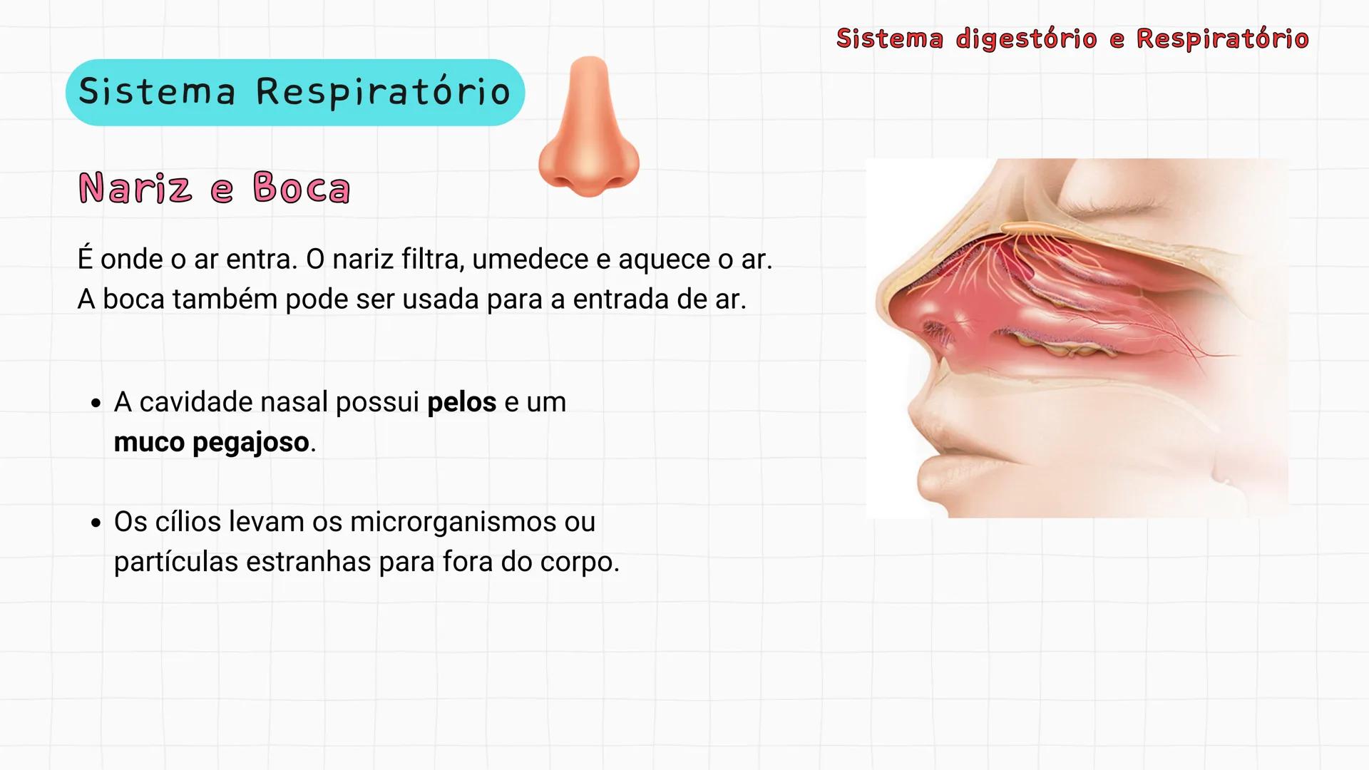 ## Sistema Respiratório # Sistema digestório e Respiratório
Por que respiramos sem perceber? Sistema digestório e Respiratório
Por que resp