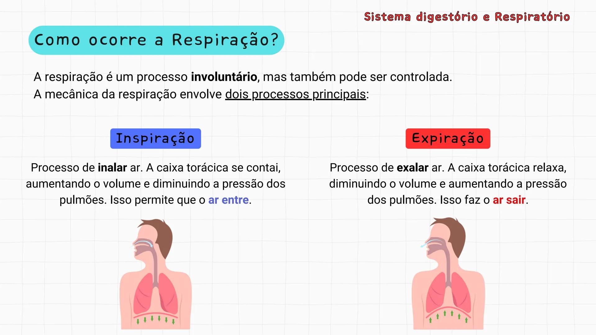 ## Sistema Respiratório # Sistema digestório e Respiratório
Por que respiramos sem perceber? Sistema digestório e Respiratório
Por que resp
