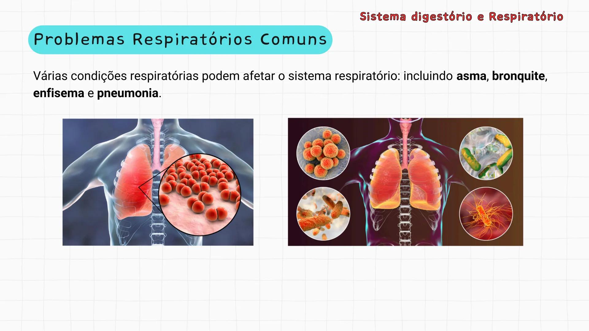 ## Sistema Respiratório # Sistema digestório e Respiratório
Por que respiramos sem perceber? Sistema digestório e Respiratório
Por que resp
