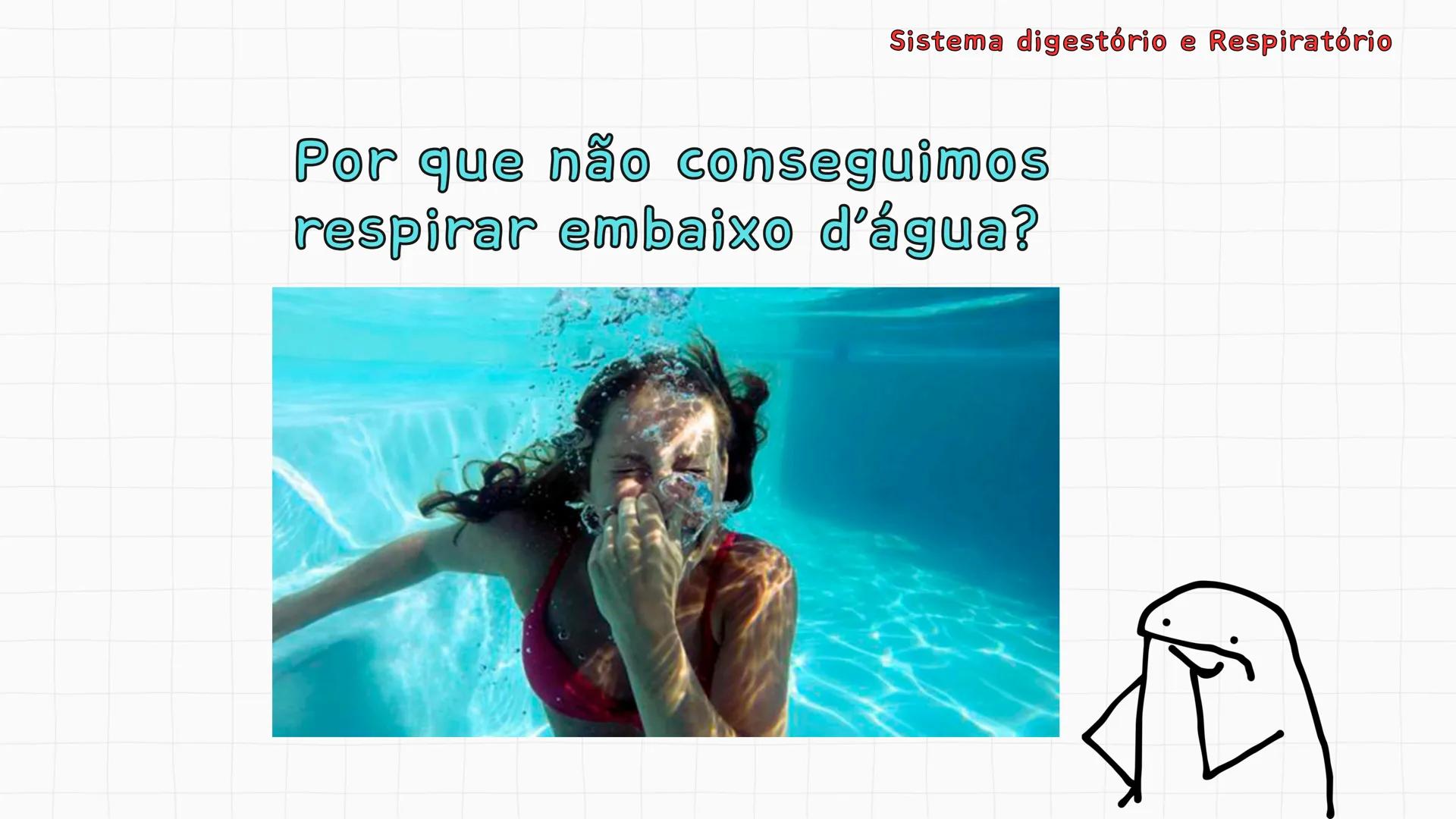 ## Sistema Respiratório # Sistema digestório e Respiratório
Por que respiramos sem perceber? Sistema digestório e Respiratório
Por que resp