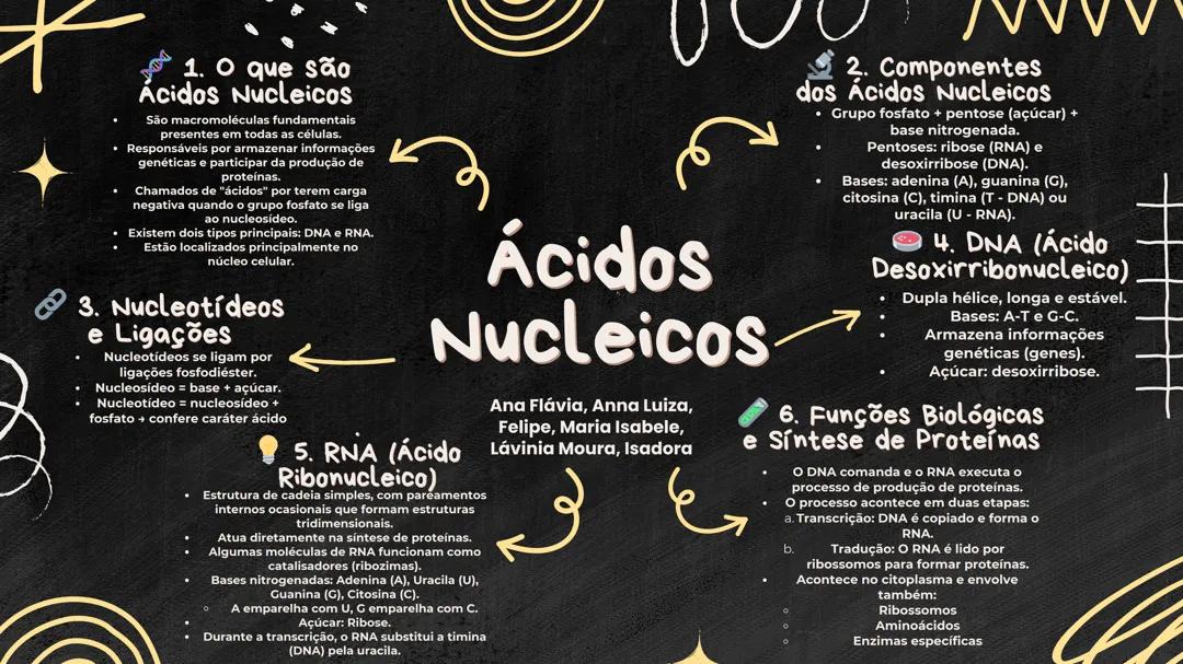 Ácidos Nucléicos