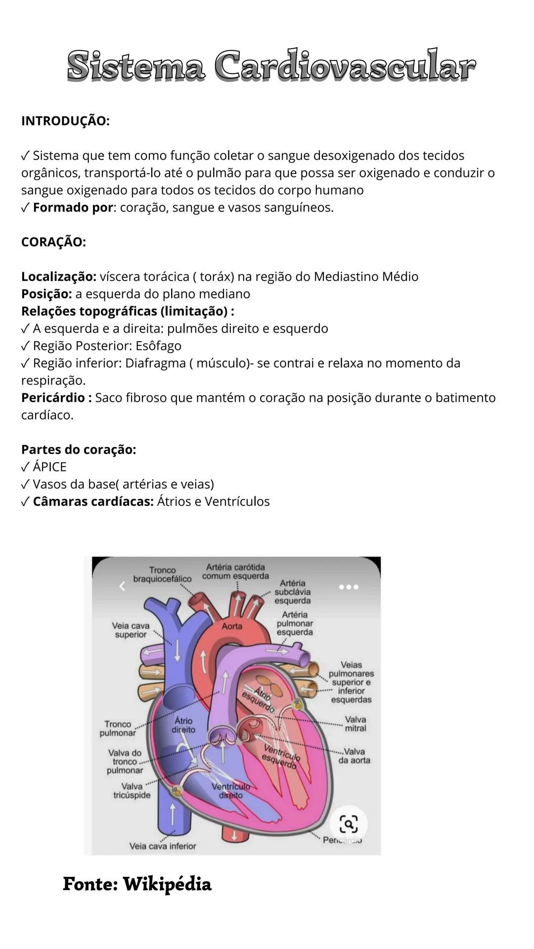 Sistema Cardiovascular
INTRODUÇÃO:
✓ Sistema que tem como função coletar o sangue desoxigenado dos tecidos
orgânicos, transportá-lo até o pu