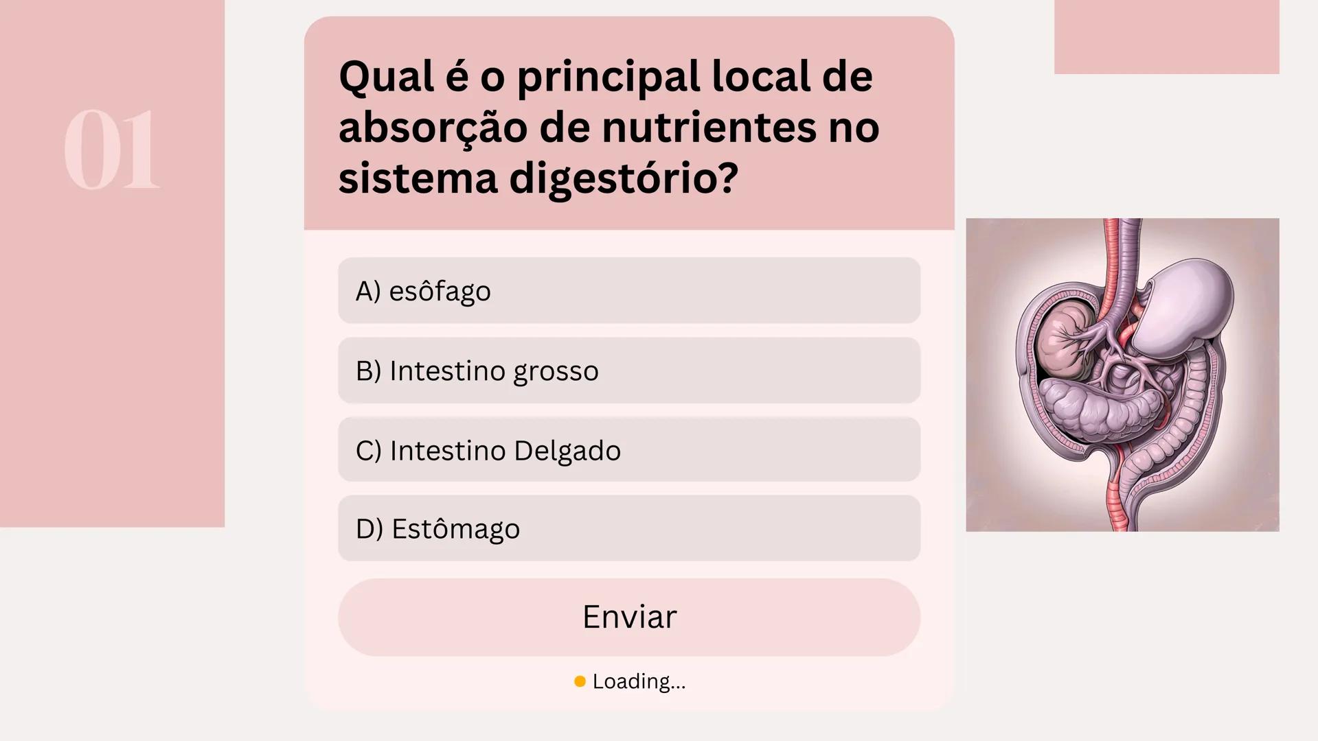 # Quiz Sistema Digestório
Por: Isabelly de Souza 01
Qual é o principal local de
absorção de nutrientes no
sistema digestório?
A) esôfago
B)