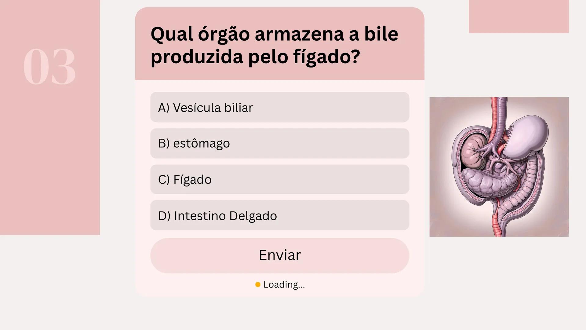 # Quiz Sistema Digestório
Por: Isabelly de Souza 01
Qual é o principal local de
absorção de nutrientes no
sistema digestório?
A) esôfago
B)