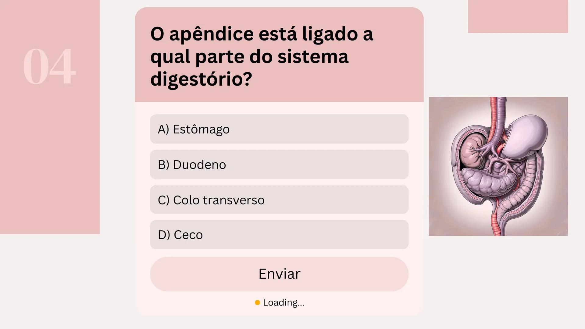 # Quiz Sistema Digestório
Por: Isabelly de Souza 01
Qual é o principal local de
absorção de nutrientes no
sistema digestório?
A) esôfago
B)
