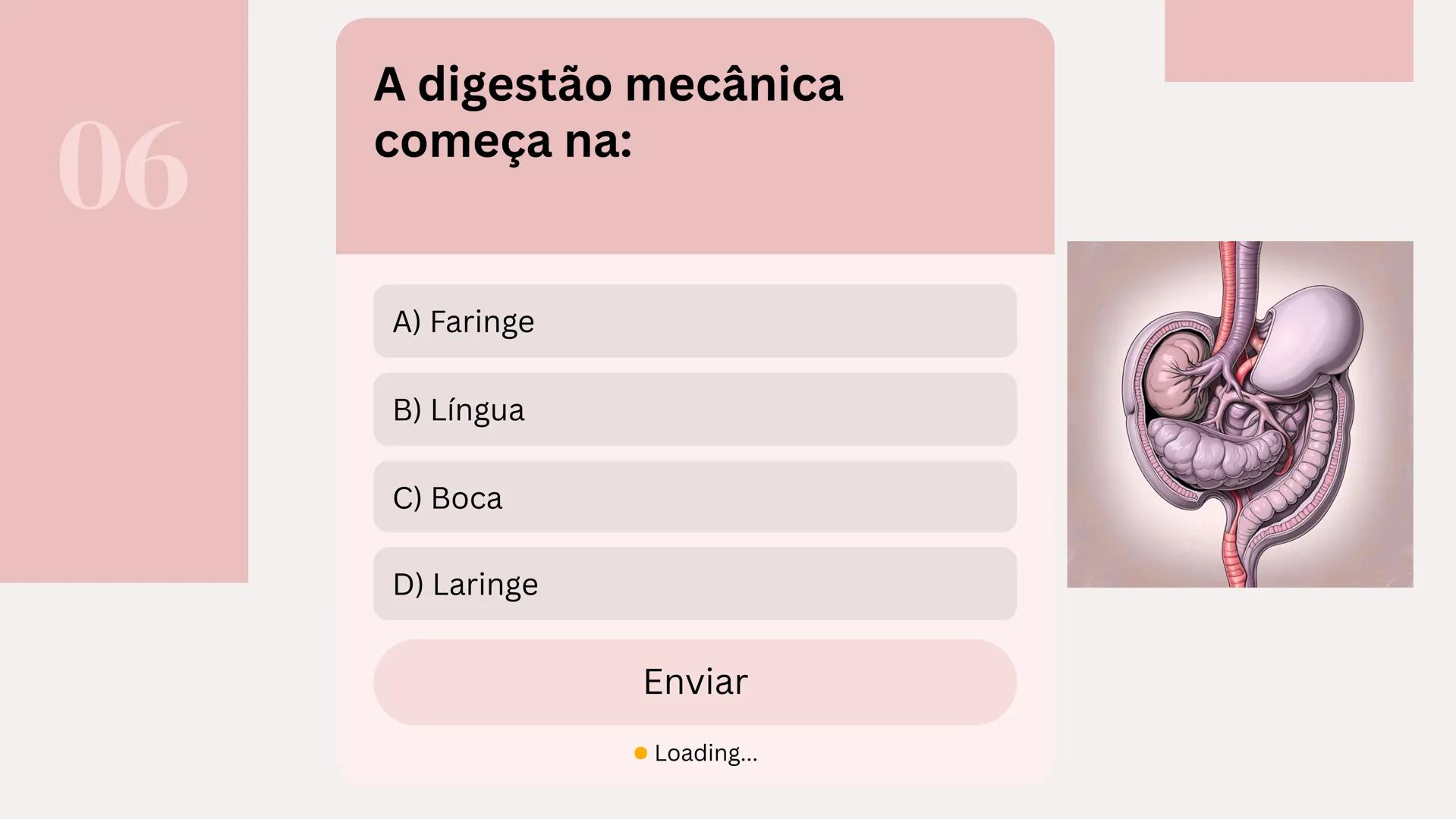# Quiz Sistema Digestório
Por: Isabelly de Souza 01
Qual é o principal local de
absorção de nutrientes no
sistema digestório?
A) esôfago
B)