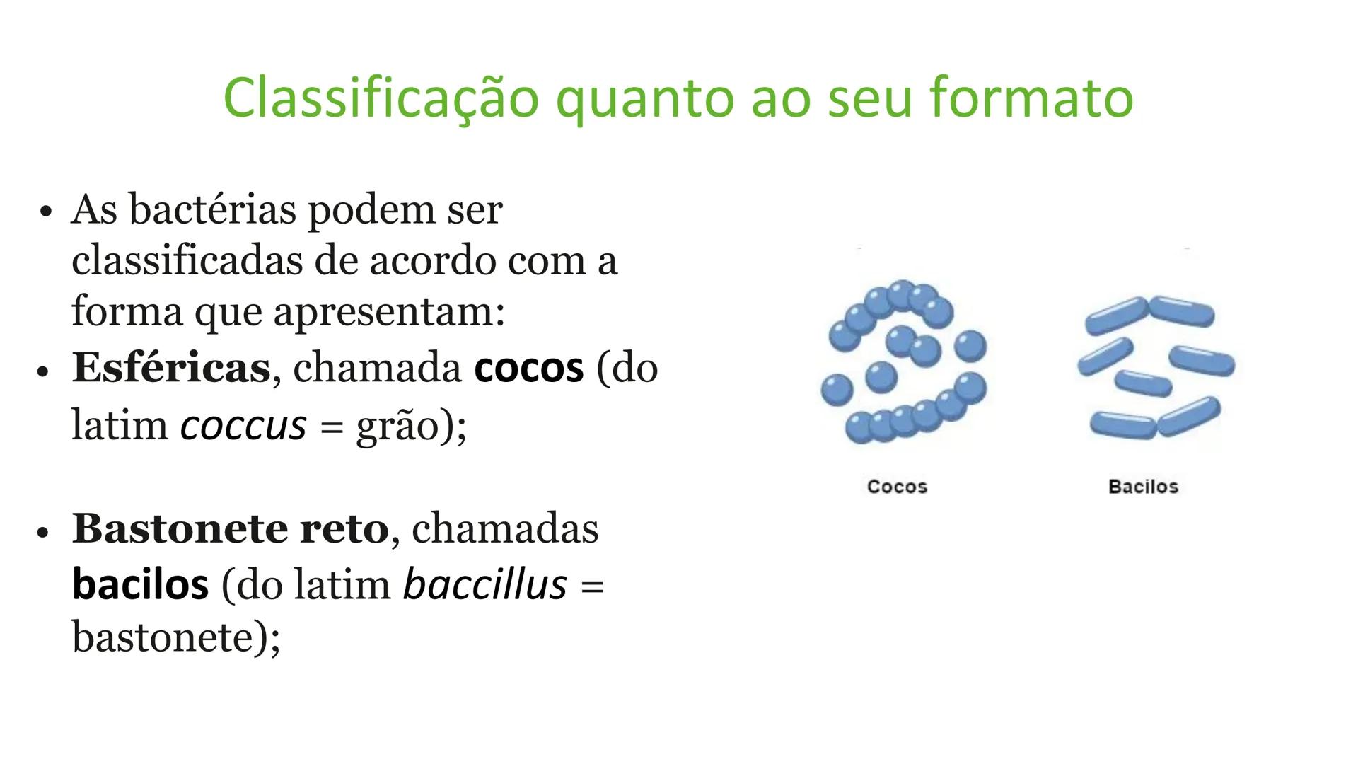 # Bactérias
Fímbrias
Parede celular
Membrana
plasmática
Citoplasma
Nucleoide (DNA)
Ribossoma
Plasmídeo
Flagelo •
•
•
características ge