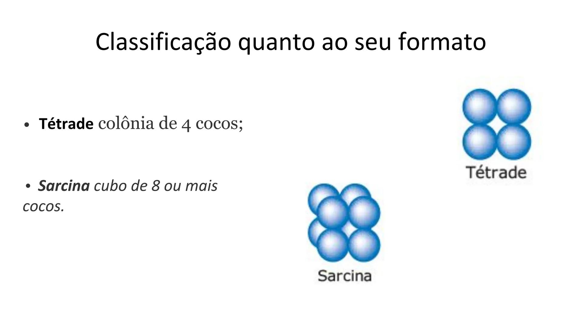 # Bactérias
Fímbrias
Parede celular
Membrana
plasmática
Citoplasma
Nucleoide (DNA)
Ribossoma
Plasmídeo
Flagelo •
•
•
características ge