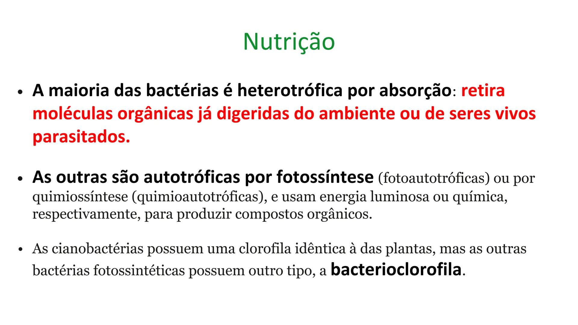 # Bactérias
Fímbrias
Parede celular
Membrana
plasmática
Citoplasma
Nucleoide (DNA)
Ribossoma
Plasmídeo
Flagelo •
•
•
características ge