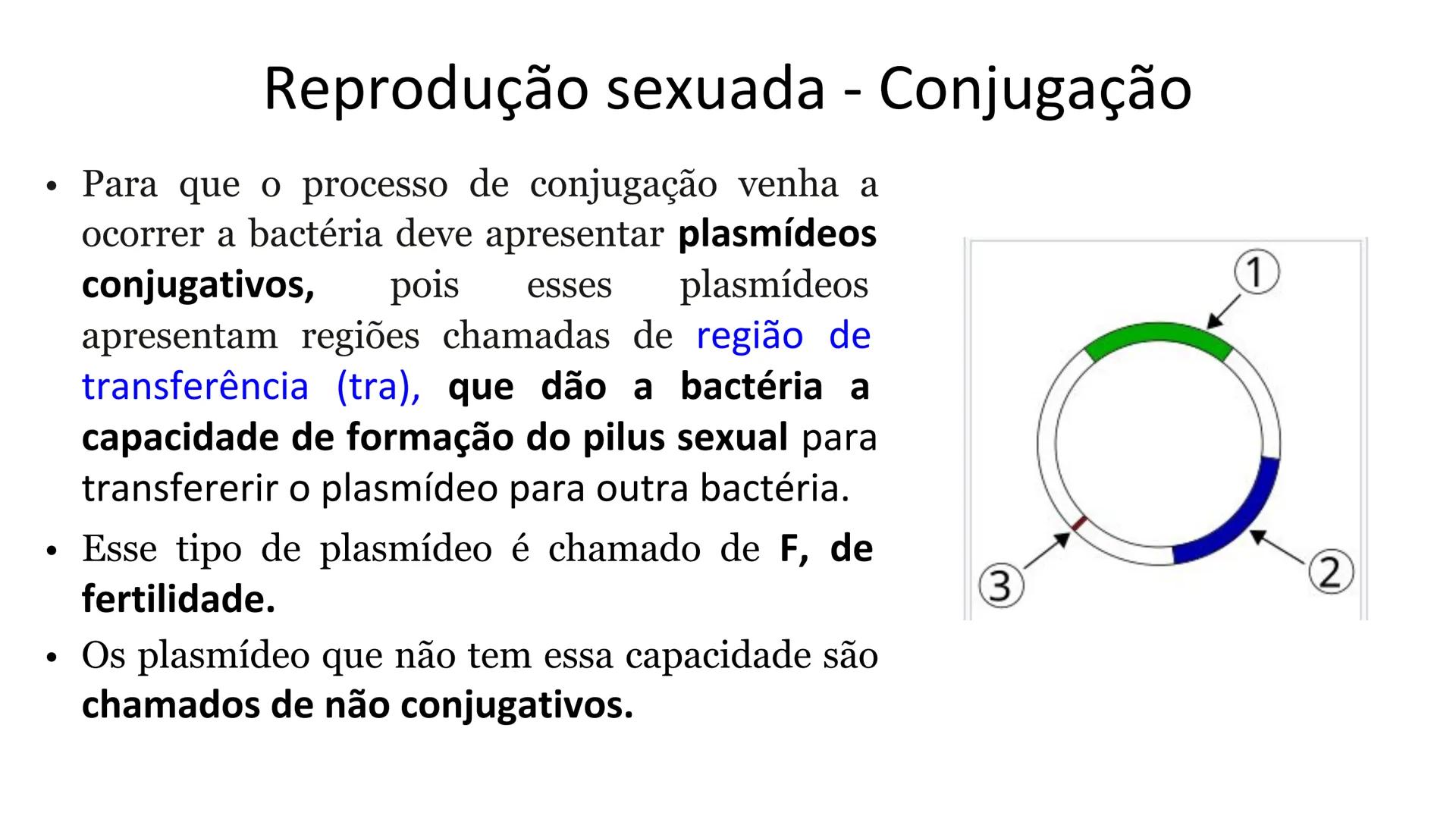 # Bactérias
Fímbrias
Parede celular
Membrana
plasmática
Citoplasma
Nucleoide (DNA)
Ribossoma
Plasmídeo
Flagelo •
•
•
características ge