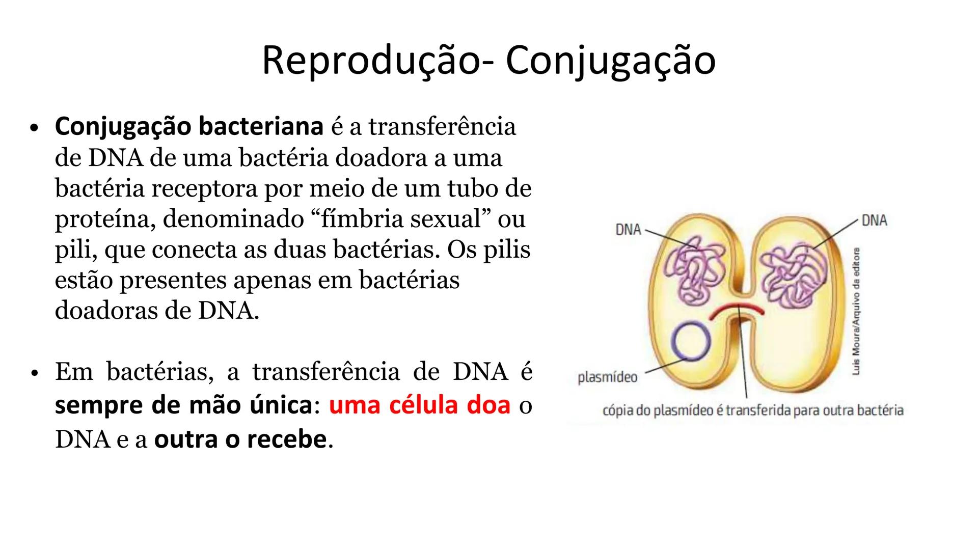 # Bactérias
Fímbrias
Parede celular
Membrana
plasmática
Citoplasma
Nucleoide (DNA)
Ribossoma
Plasmídeo
Flagelo •
•
•
características ge