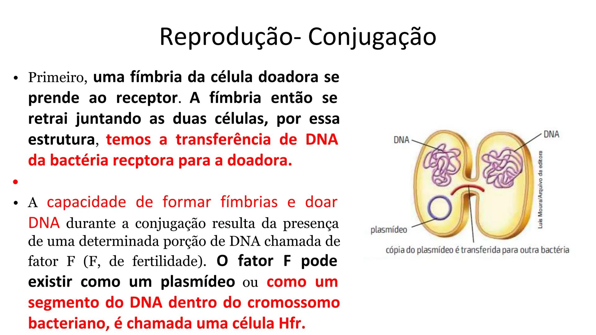 # Bactérias
Fímbrias
Parede celular
Membrana
plasmática
Citoplasma
Nucleoide (DNA)
Ribossoma
Plasmídeo
Flagelo •
•
•
características ge