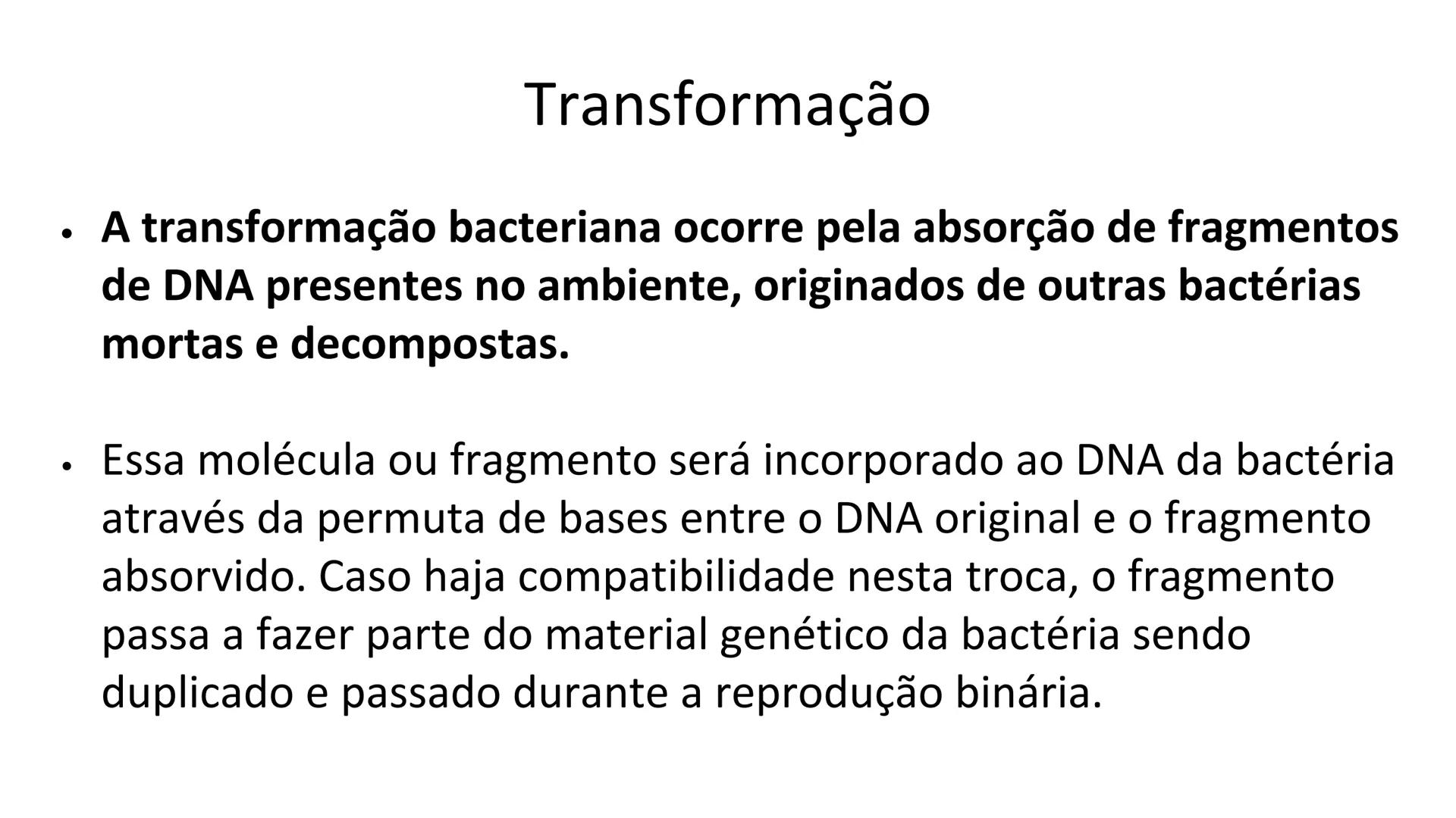 # Bactérias
Fímbrias
Parede celular
Membrana
plasmática
Citoplasma
Nucleoide (DNA)
Ribossoma
Plasmídeo
Flagelo •
•
•
características ge