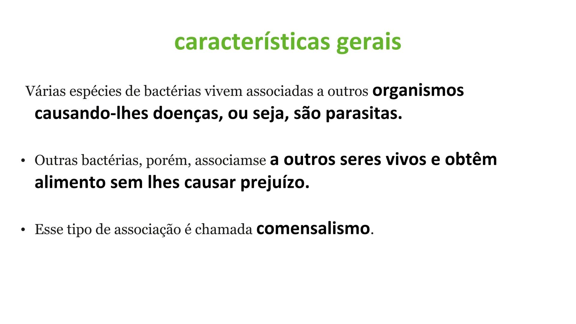 # Bactérias
Fímbrias
Parede celular
Membrana
plasmática
Citoplasma
Nucleoide (DNA)
Ribossoma
Plasmídeo
Flagelo •
•
•
características ge