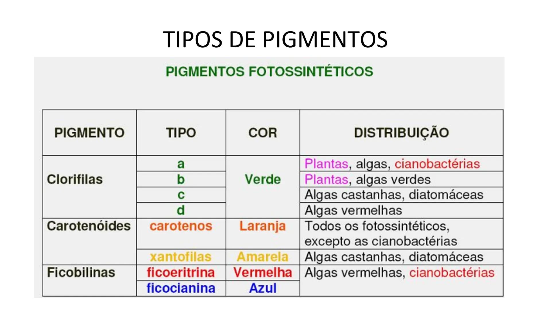 # Bactérias
Fímbrias
Parede celular
Membrana
plasmática
Citoplasma
Nucleoide (DNA)
Ribossoma
Plasmídeo
Flagelo •
•
•
características ge