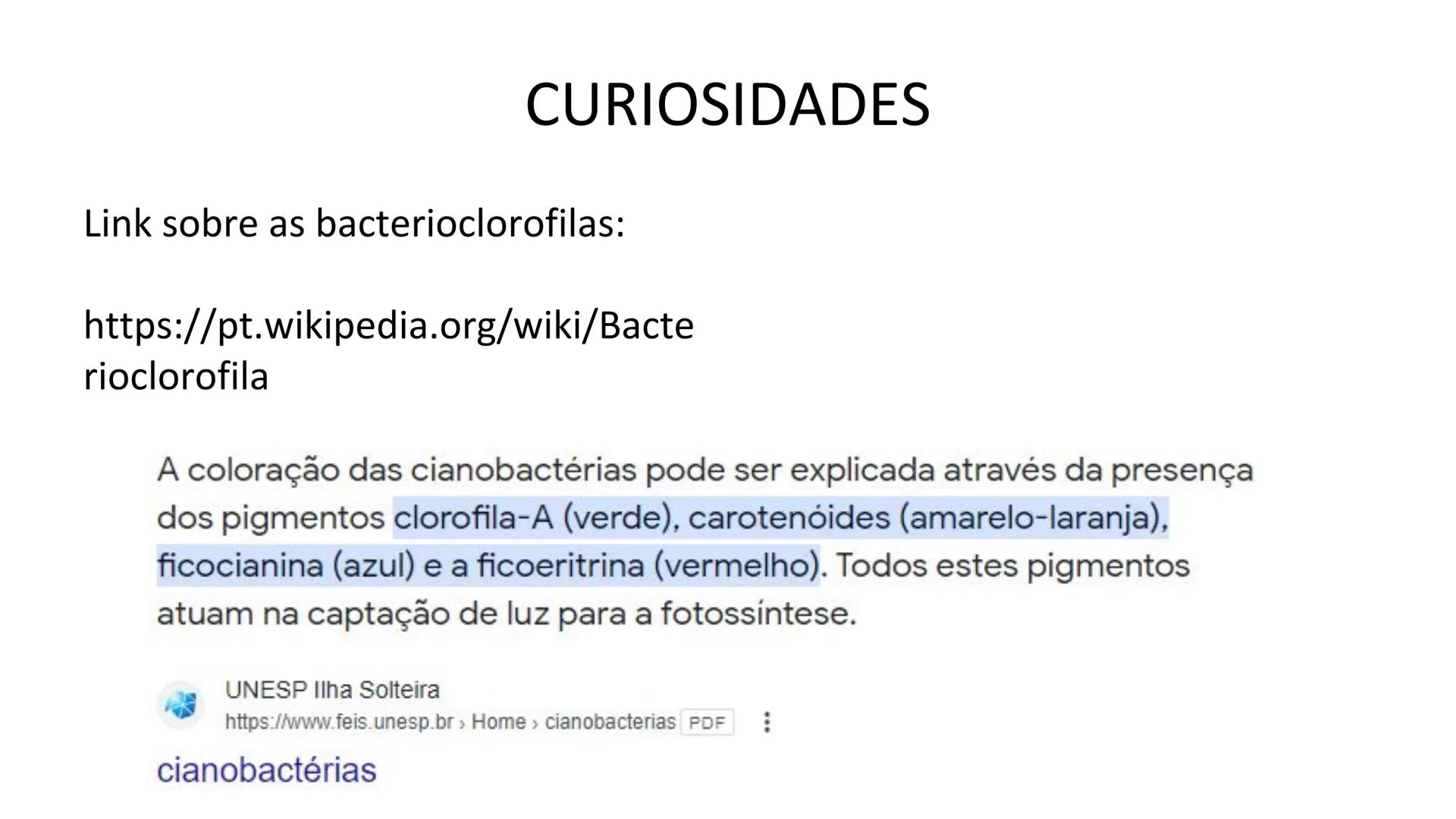 # Bactérias
Fímbrias
Parede celular
Membrana
plasmática
Citoplasma
Nucleoide (DNA)
Ribossoma
Plasmídeo
Flagelo •
•
•
características ge