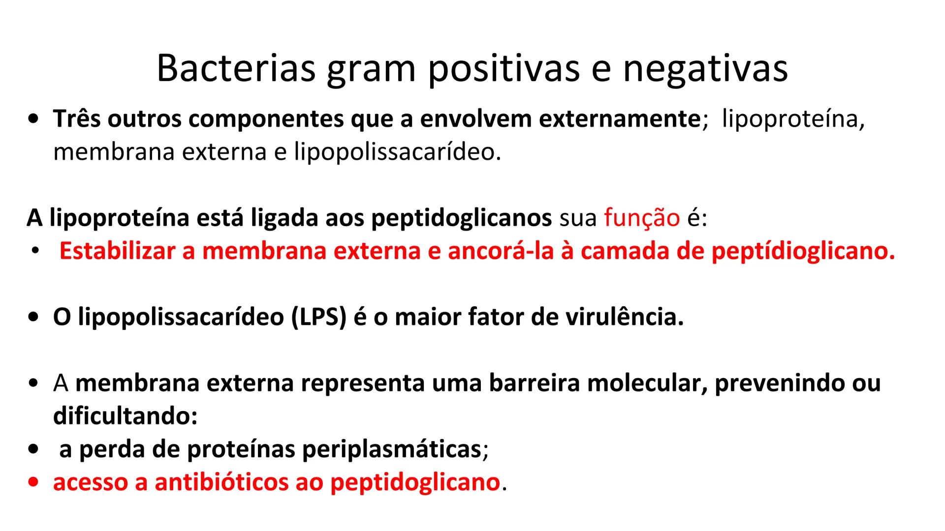 # Bactérias
Fímbrias
Parede celular
Membrana
plasmática
Citoplasma
Nucleoide (DNA)
Ribossoma
Plasmídeo
Flagelo •
•
•
características ge