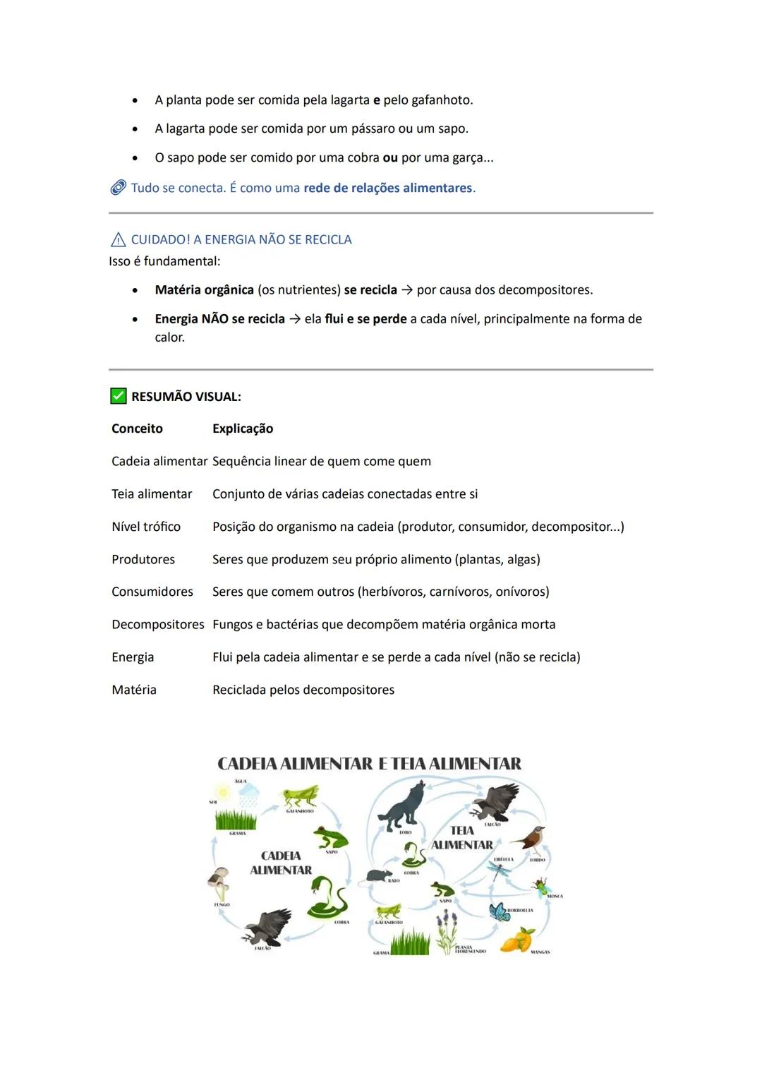ECOLOGIA - Fatores Abióticos e Bióticos
Ecologia é a parte da Biologia que estuda as relações entre os seres vivos e o ambiente onde
vivem.