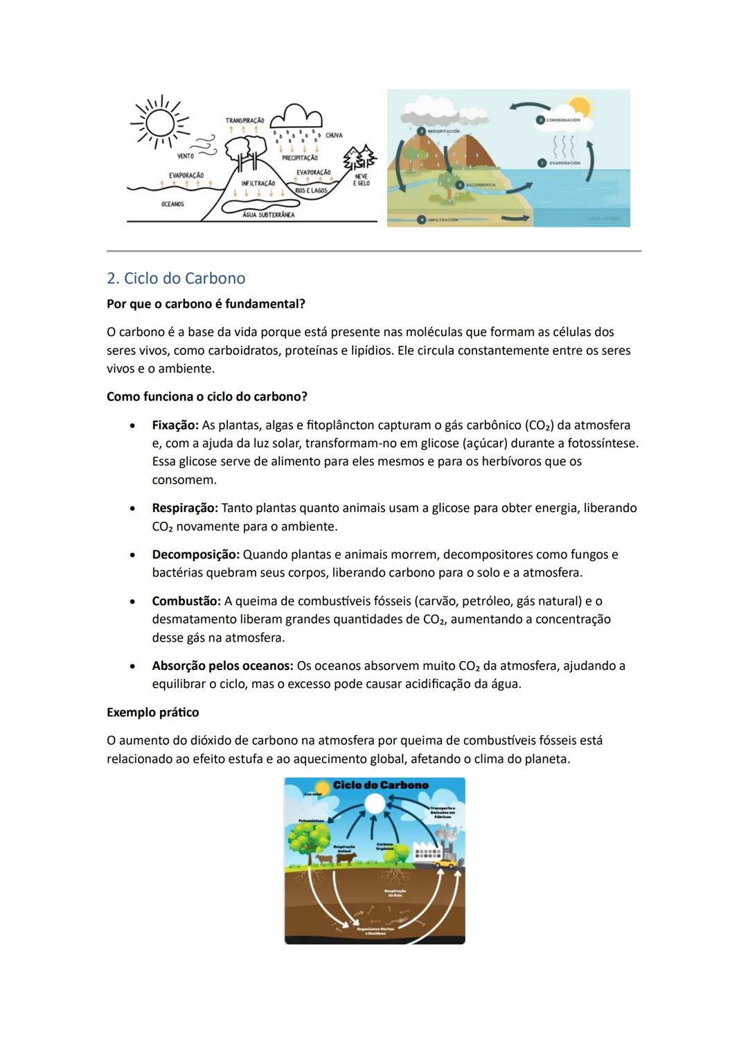 ECOLOGIA - Fatores Abióticos e Bióticos
Ecologia é a parte da Biologia que estuda as relações entre os seres vivos e o ambiente onde
vivem.