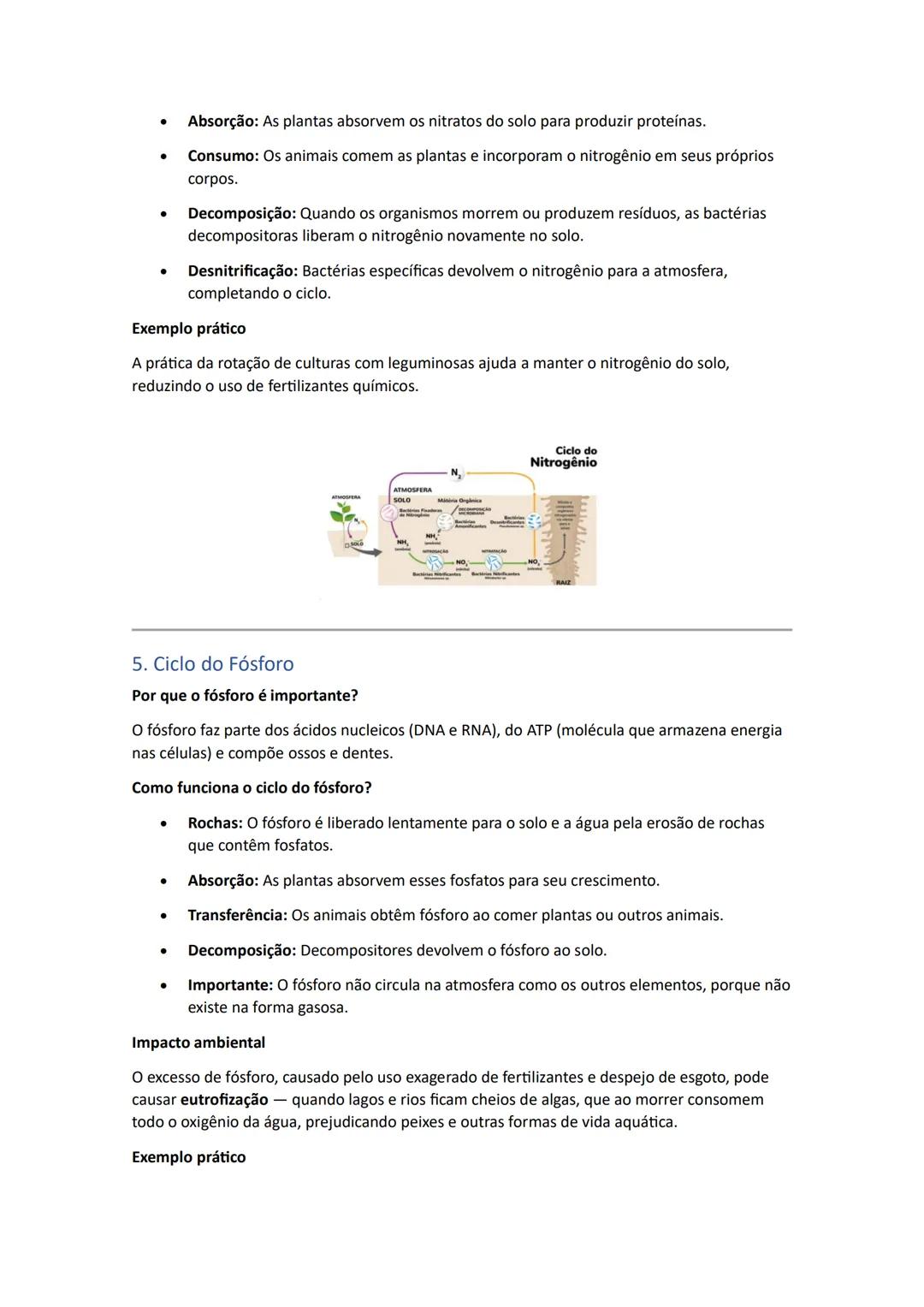 ECOLOGIA - Fatores Abióticos e Bióticos
Ecologia é a parte da Biologia que estuda as relações entre os seres vivos e o ambiente onde
vivem.