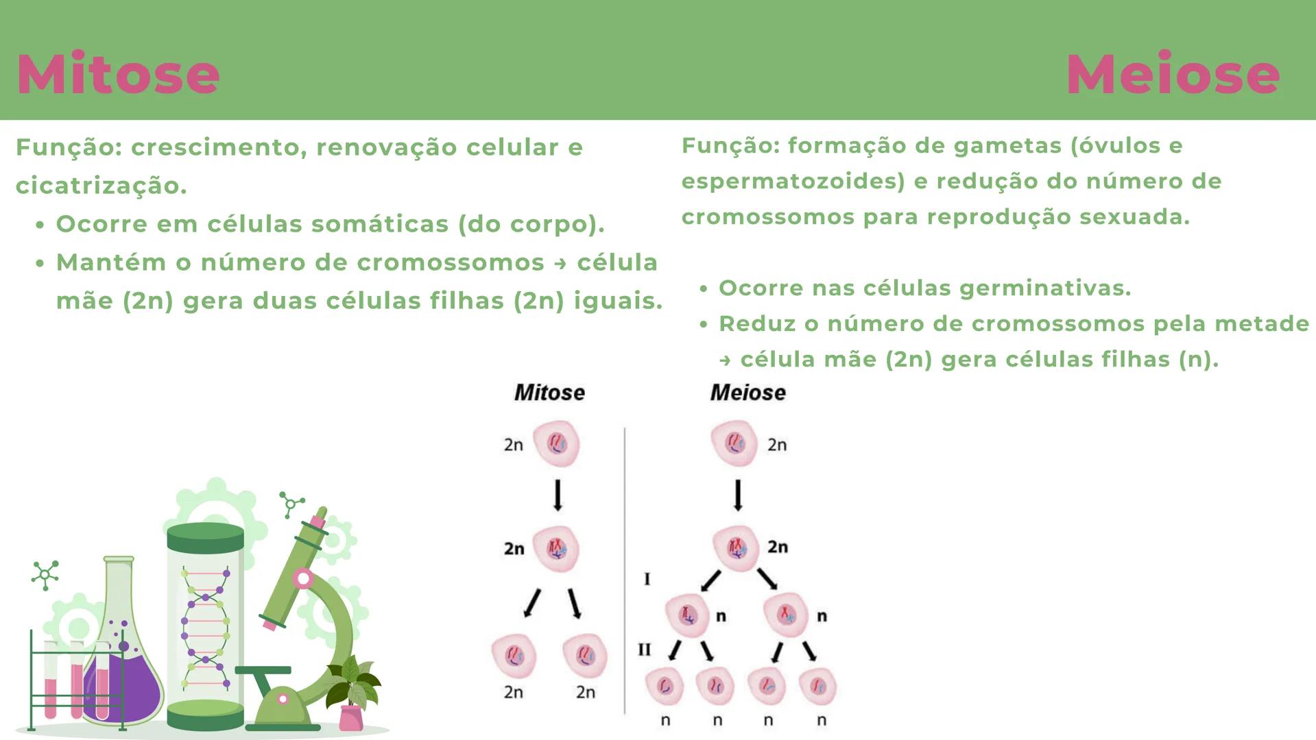 # resumo de
# Genética O que é genética?
• Genética é a área da biologia que
estuda hereditariedade (transmissão
de características dos pais
