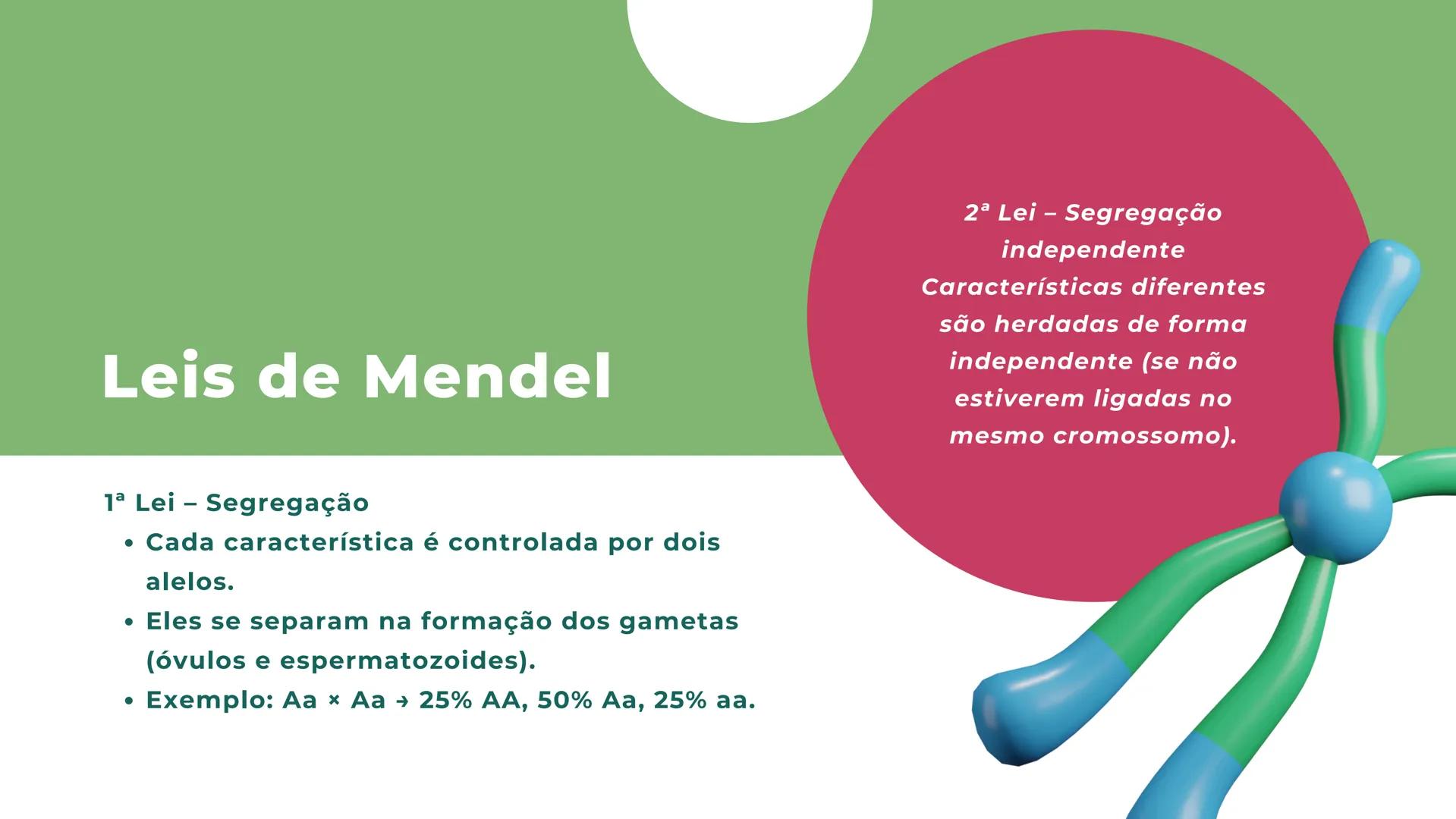 # resumo de
# Genética O que é genética?
• Genética é a área da biologia que
estuda hereditariedade (transmissão
de características dos pais