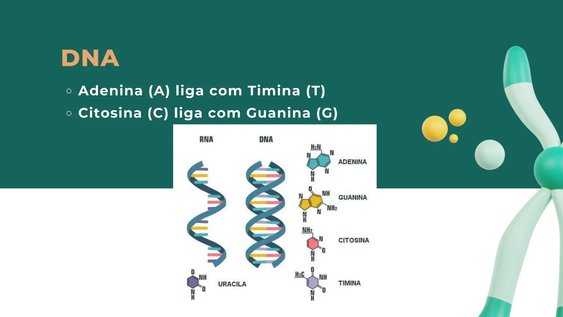 # resumo de
# Genética O que é genética?
• Genética é a área da biologia que
estuda hereditariedade (transmissão
de características dos pais