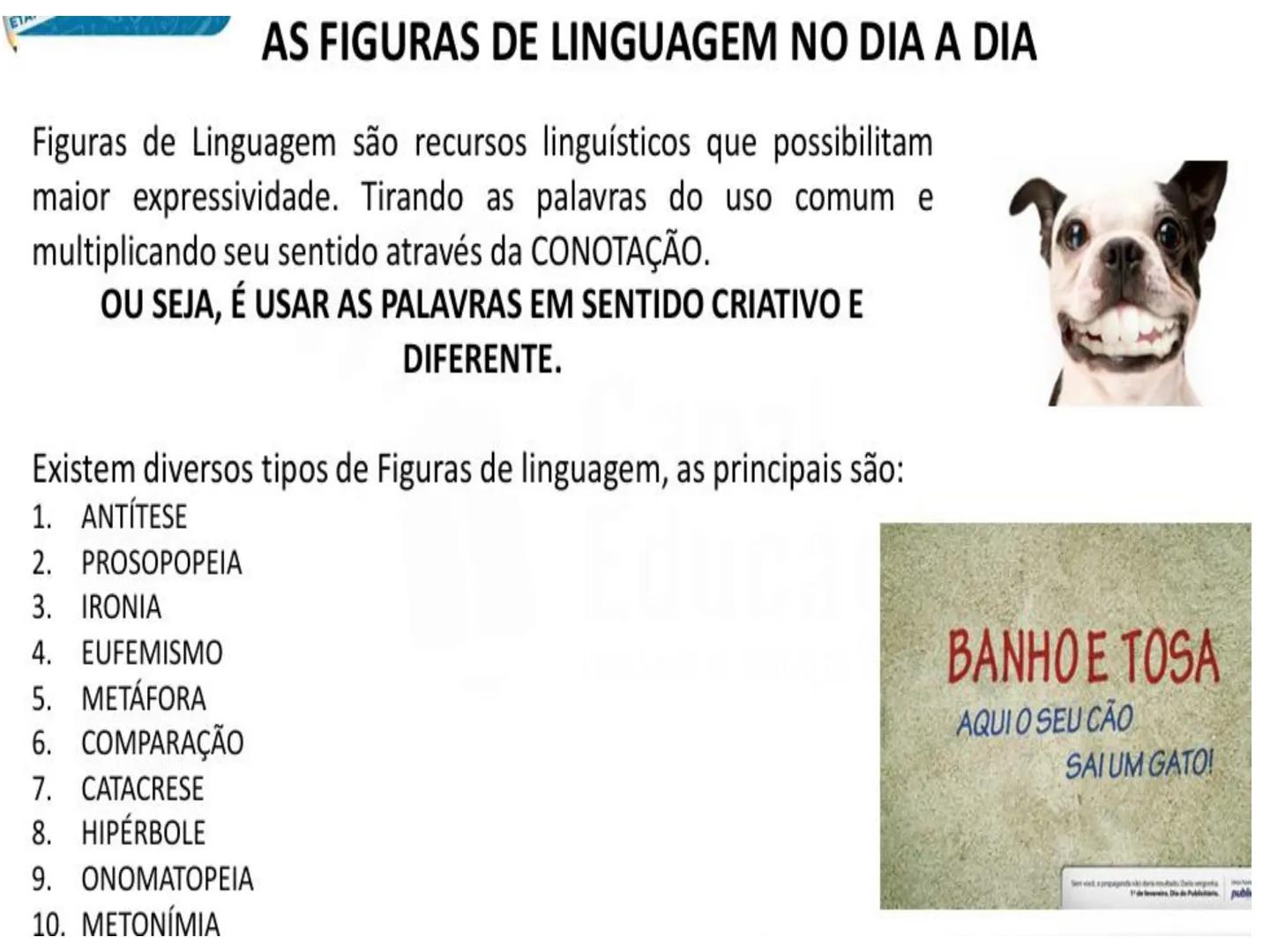 # Figuras de linguagem AS FIGURAS DE LINGUAGEM NO DIA A DIA
Figuras de Linguagem são recursos linguísticos que possibilitam
maior expressivi