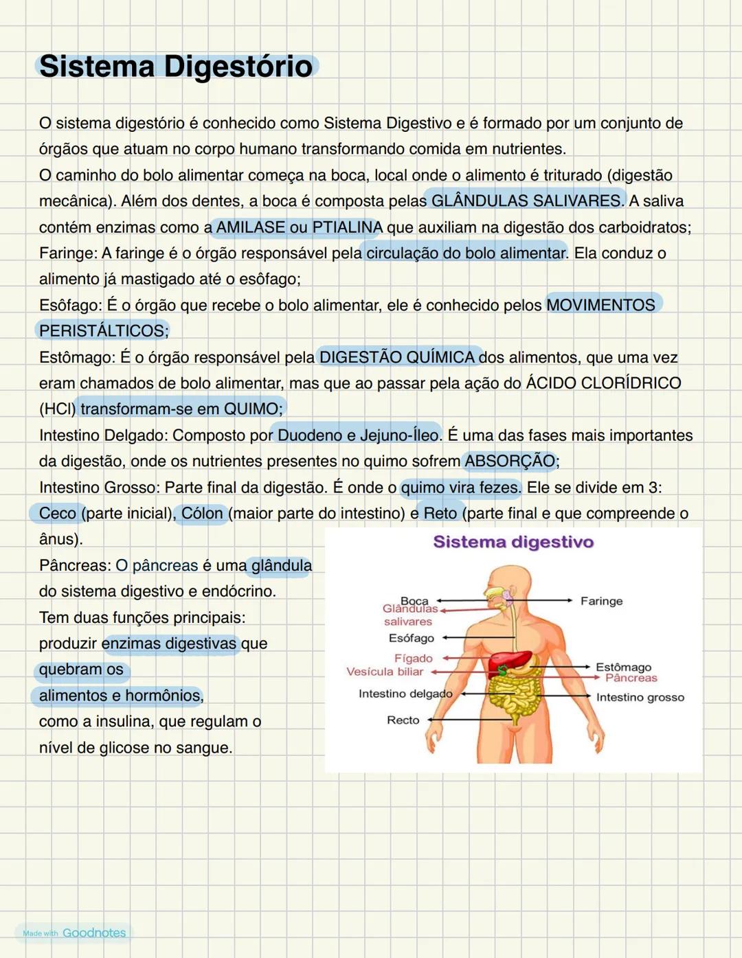 Sistema Digestório
O sistema digestório é conhecido como Sistema Digestivo e é formado por um conjunto de
órgãos que atuam no corpo humano t