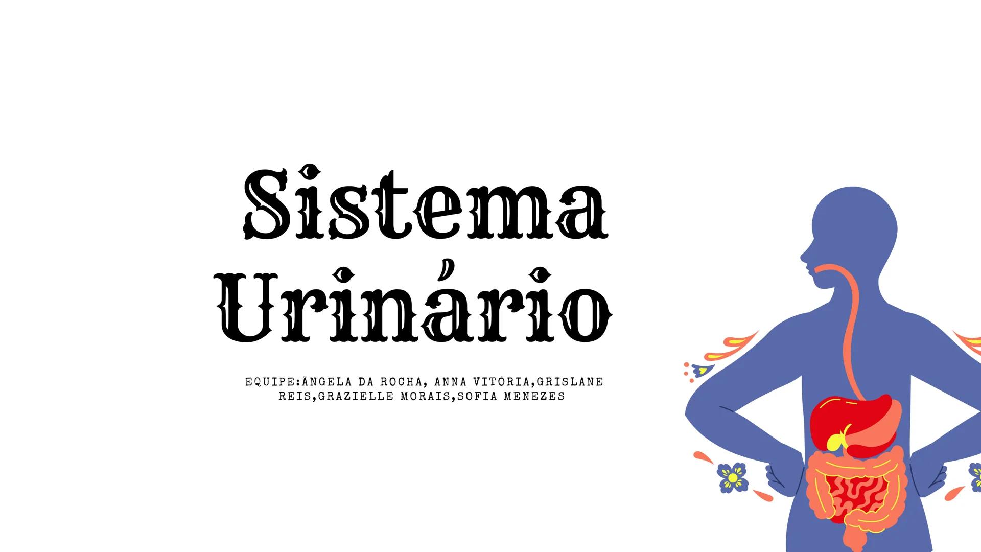 # Sistema
Urinário
EQUIPE: ANGELA DA ROCHA, ANNA VITÓRIA, GRISLANE
REIS, GRAZIELLE MORAIS, SOFIA MENEZES # Introdução:
O sistema urinário