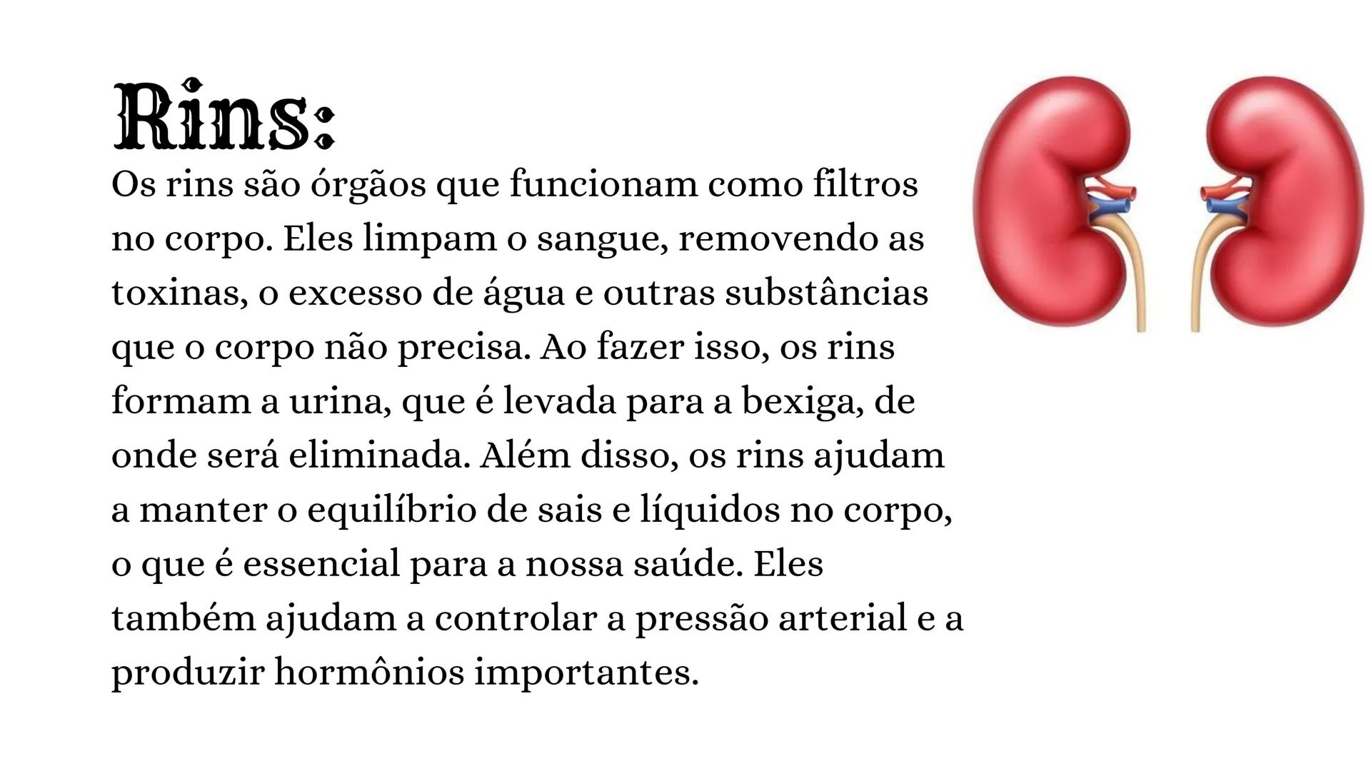 # Sistema
Urinário
EQUIPE: ANGELA DA ROCHA, ANNA VITÓRIA, GRISLANE
REIS, GRAZIELLE MORAIS, SOFIA MENEZES # Introdução:
O sistema urinário
