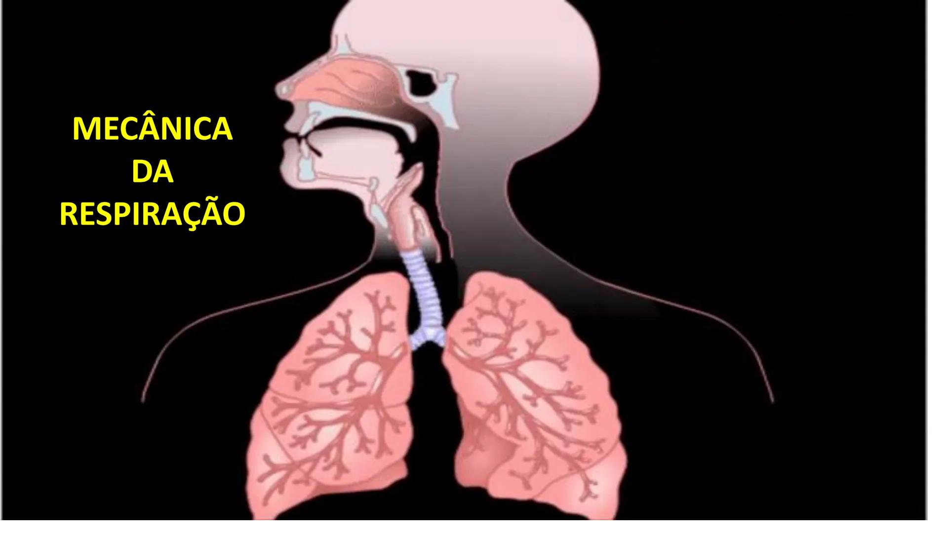 MECÂNICA
DA
RESPIRAÇÃO Referência Bibliográfica
Guyton & Hall
TRATADO DE
Fisiologia
Médica
gen
GUANABARA
KOOGAN
14ª EDIÇÃO
JOHN E. HALL
MI