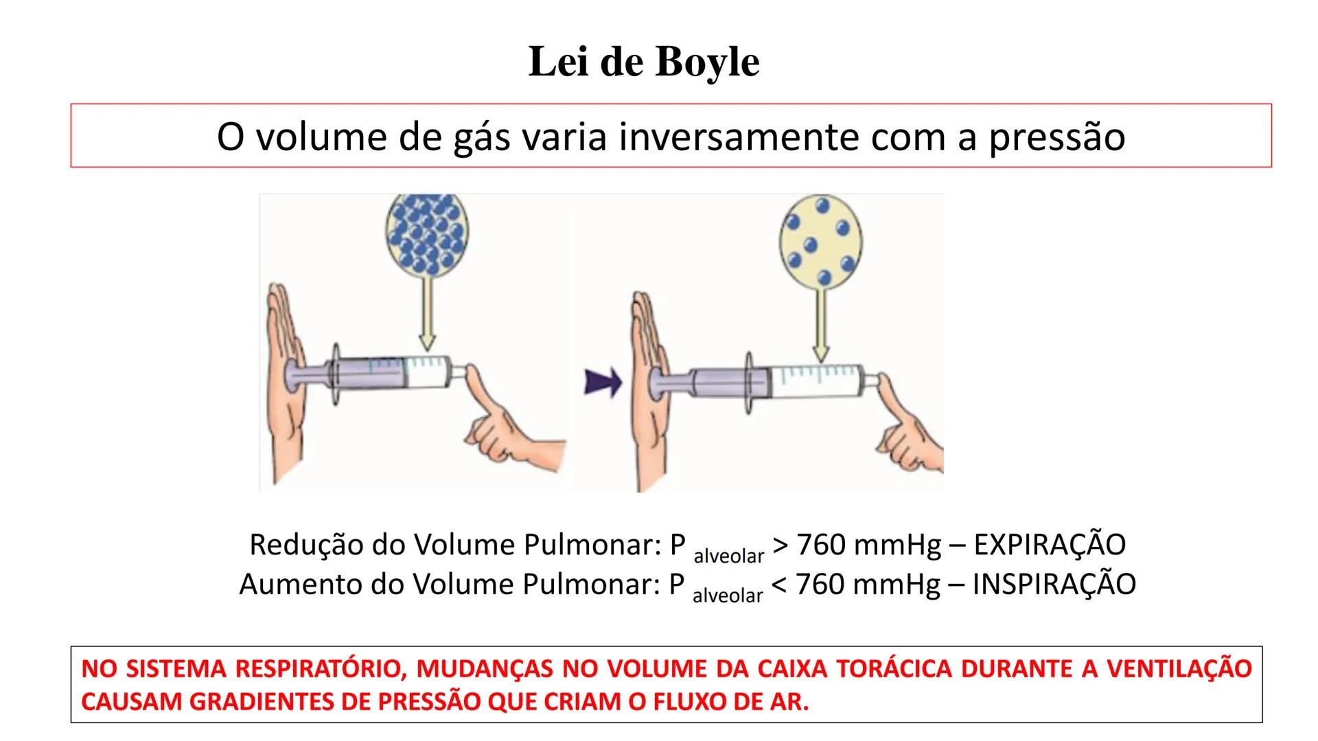 MECÂNICA
DA
RESPIRAÇÃO Referência Bibliográfica
Guyton & Hall
TRATADO DE
Fisiologia
Médica
gen
GUANABARA
KOOGAN
14ª EDIÇÃO
JOHN E. HALL
MI