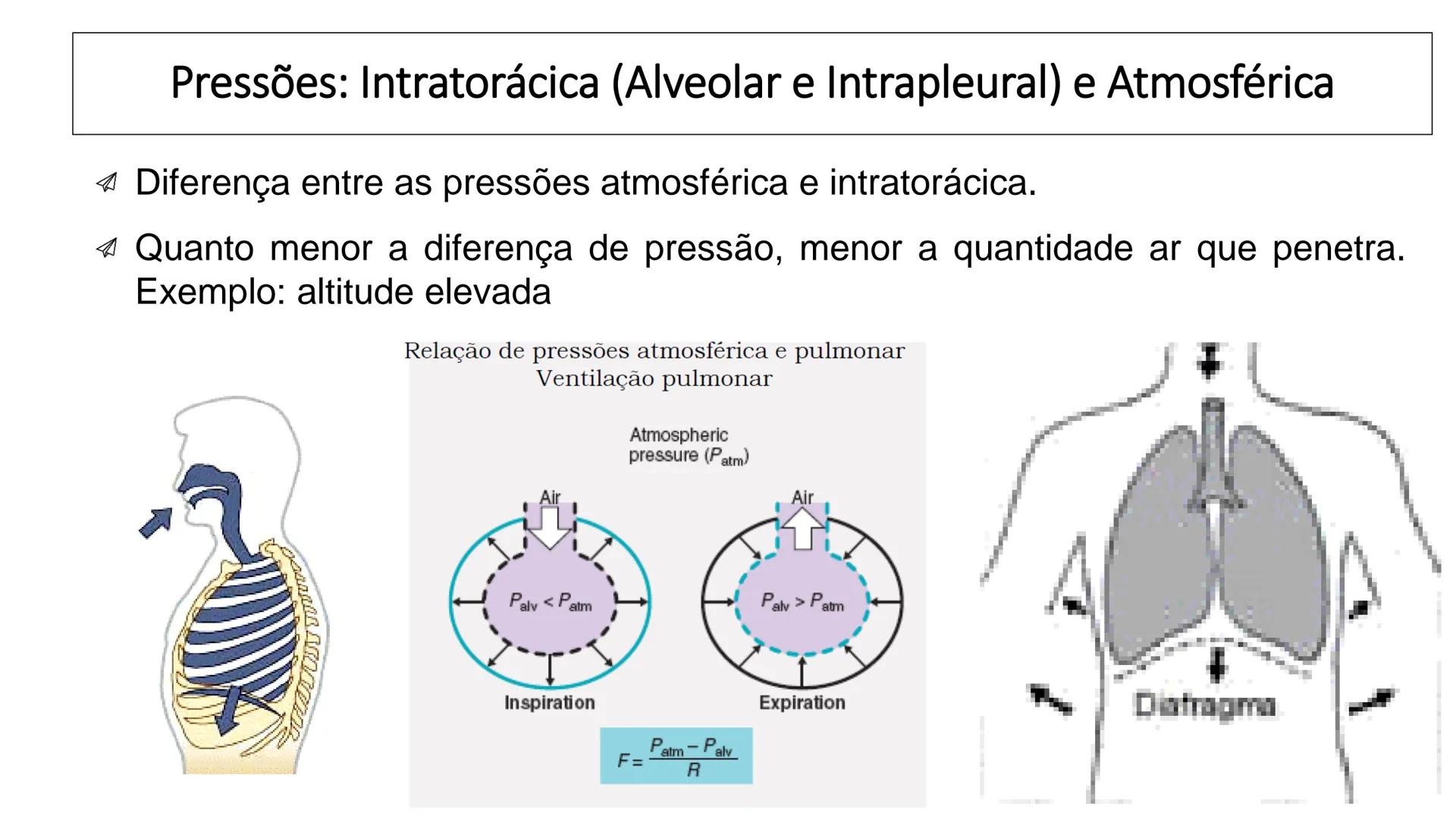 MECÂNICA
DA
RESPIRAÇÃO Referência Bibliográfica
Guyton & Hall
TRATADO DE
Fisiologia
Médica
gen
GUANABARA
KOOGAN
14ª EDIÇÃO
JOHN E. HALL
MI
