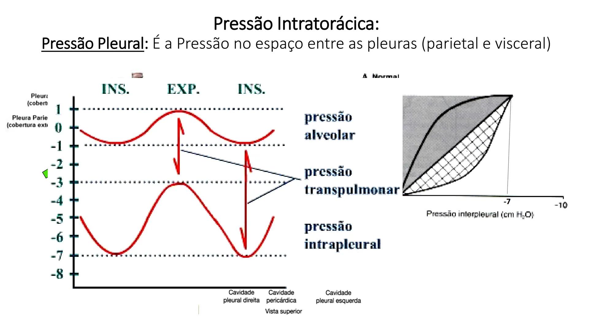 MECÂNICA
DA
RESPIRAÇÃO Referência Bibliográfica
Guyton & Hall
TRATADO DE
Fisiologia
Médica
gen
GUANABARA
KOOGAN
14ª EDIÇÃO
JOHN E. HALL
MI