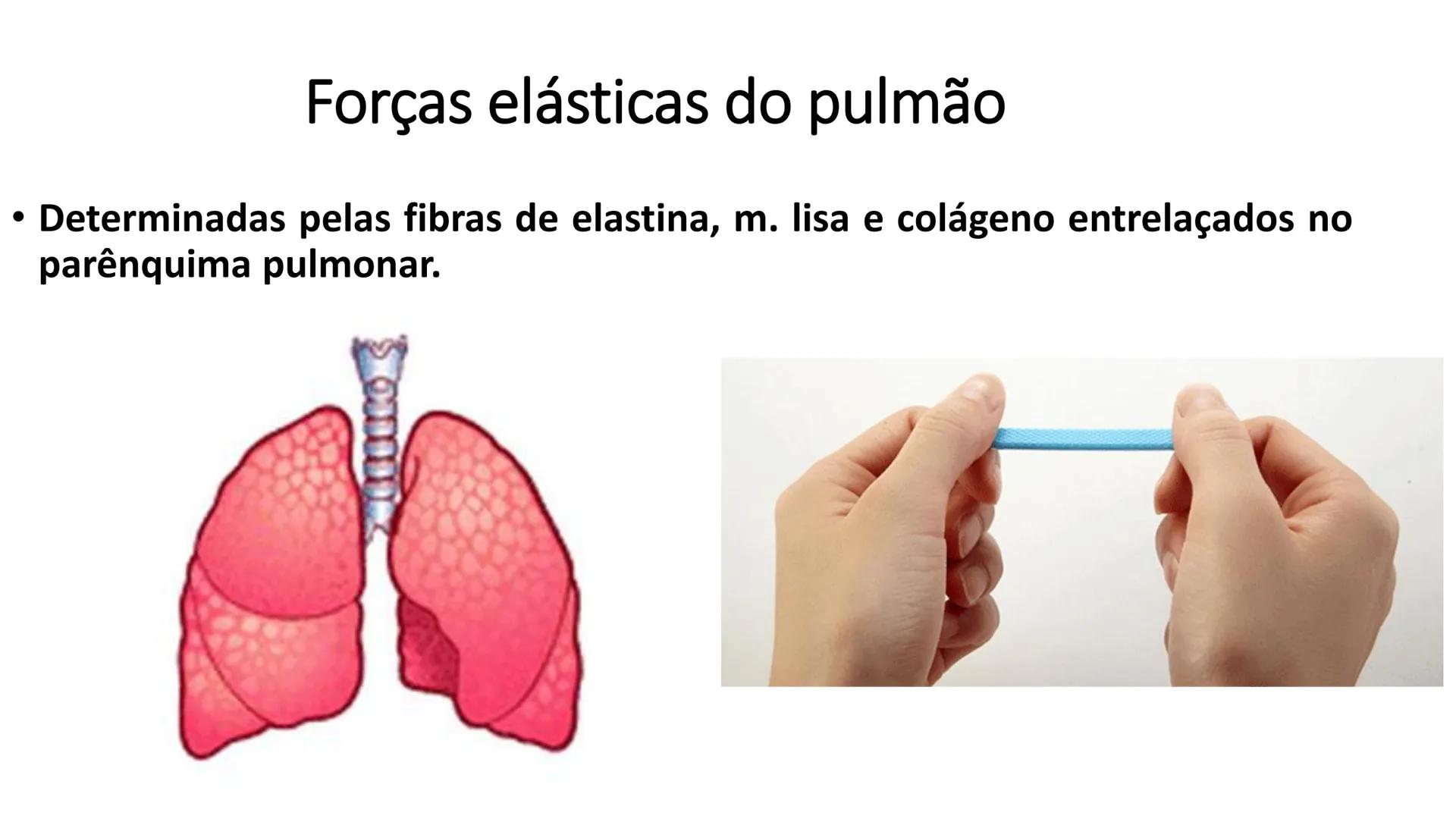 MECÂNICA
DA
RESPIRAÇÃO Referência Bibliográfica
Guyton & Hall
TRATADO DE
Fisiologia
Médica
gen
GUANABARA
KOOGAN
14ª EDIÇÃO
JOHN E. HALL
MI