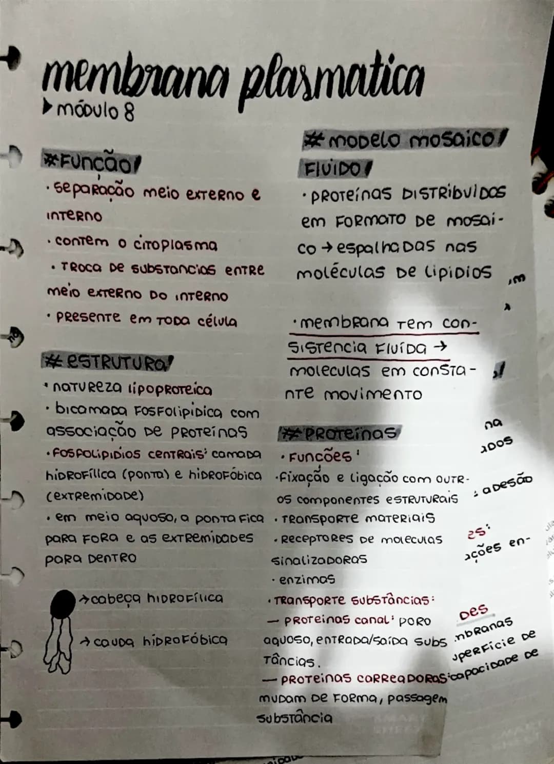 # membrana plasmatica
* Módulo 8
## Função
* separação meio externo e interno
* contem o citoplasma
* TROCA De substancias entre me