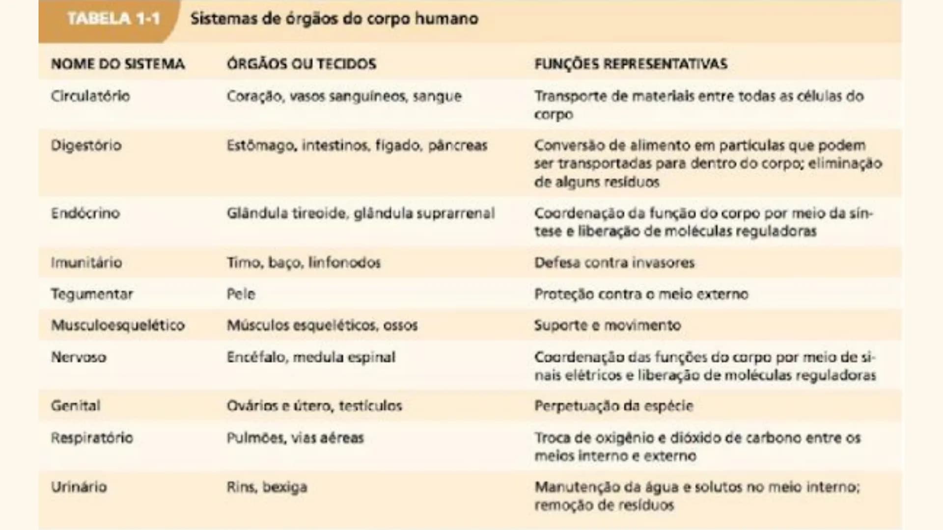 Organização Funcional
do Corpo Humano
A Célula...
Síntese de Proteínas...
Funcionamento Celular...
Reprodução Celular...
CP # Fisiologia hum