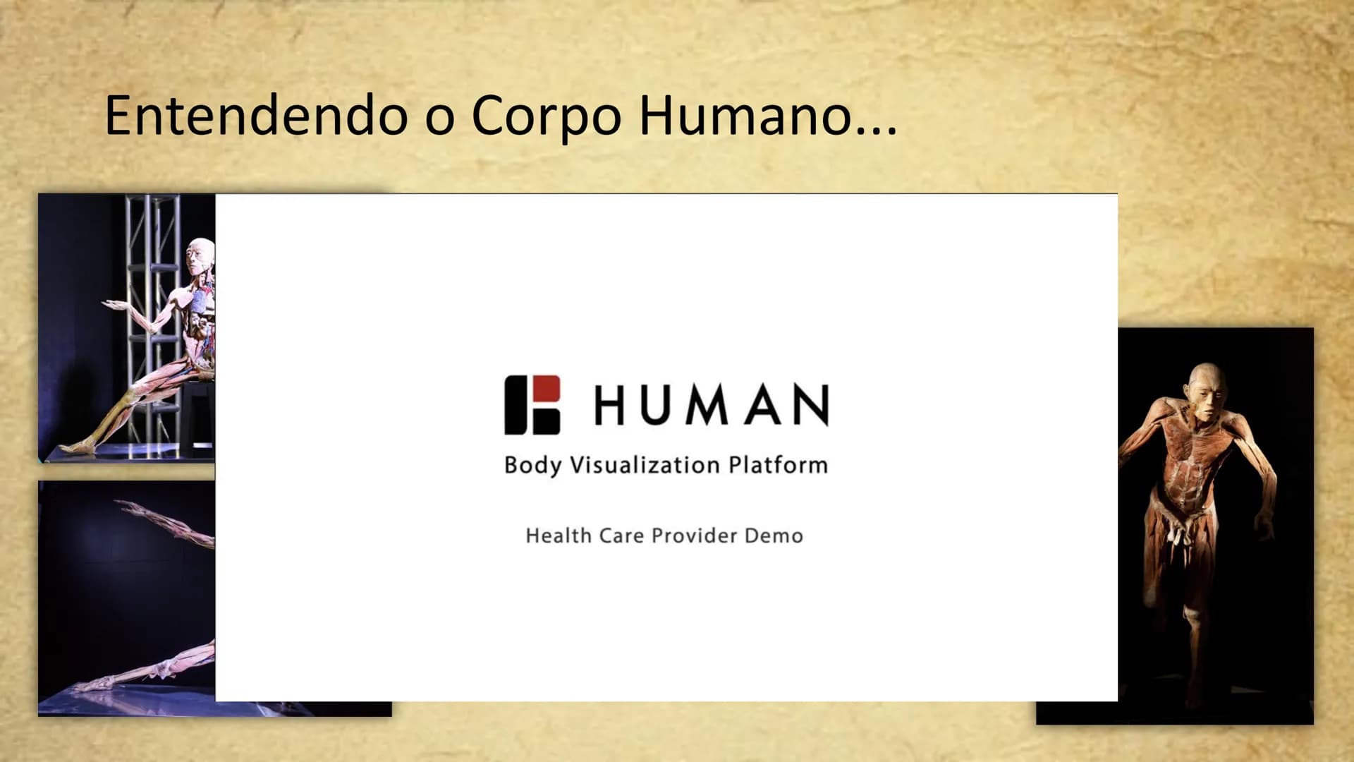 Organização Funcional
do Corpo Humano
A Célula...
Síntese de Proteínas...
Funcionamento Celular...
Reprodução Celular...
CP # Fisiologia hum