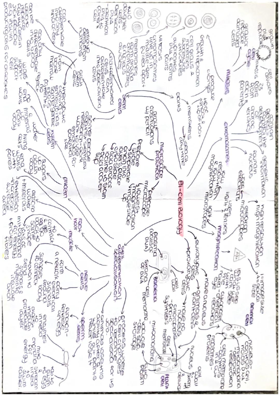 GCSE AQA Biology Combined Science Paper 1 B1-B4 Mindmaps