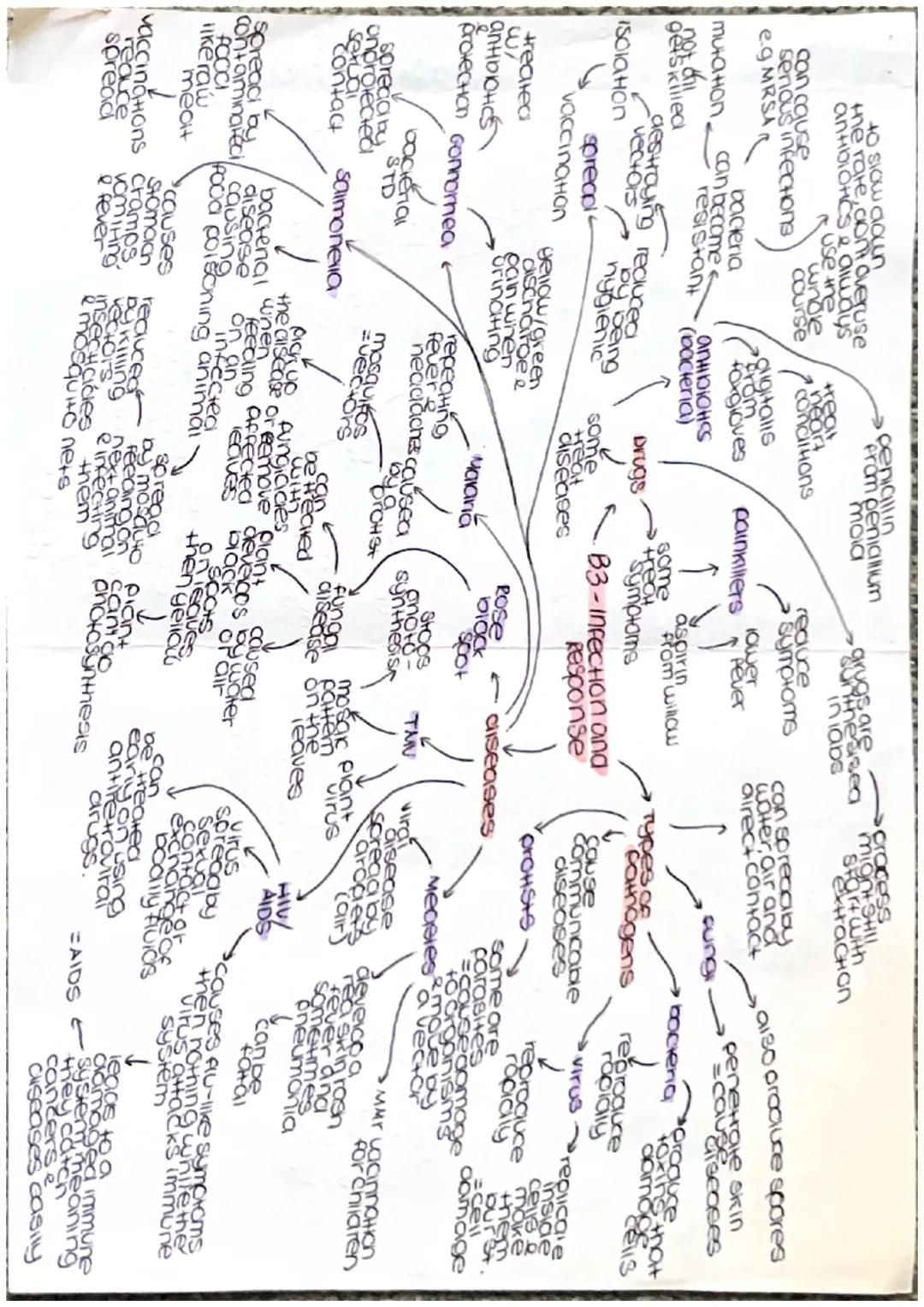 Growthe
Clones
DNA VECHICOtion
grawi
ONG
cell
aes
repicate
23
mitosis Pairs
Arom
contain
gene
de of the
comen
geneHo
foundin
charac
nucleus