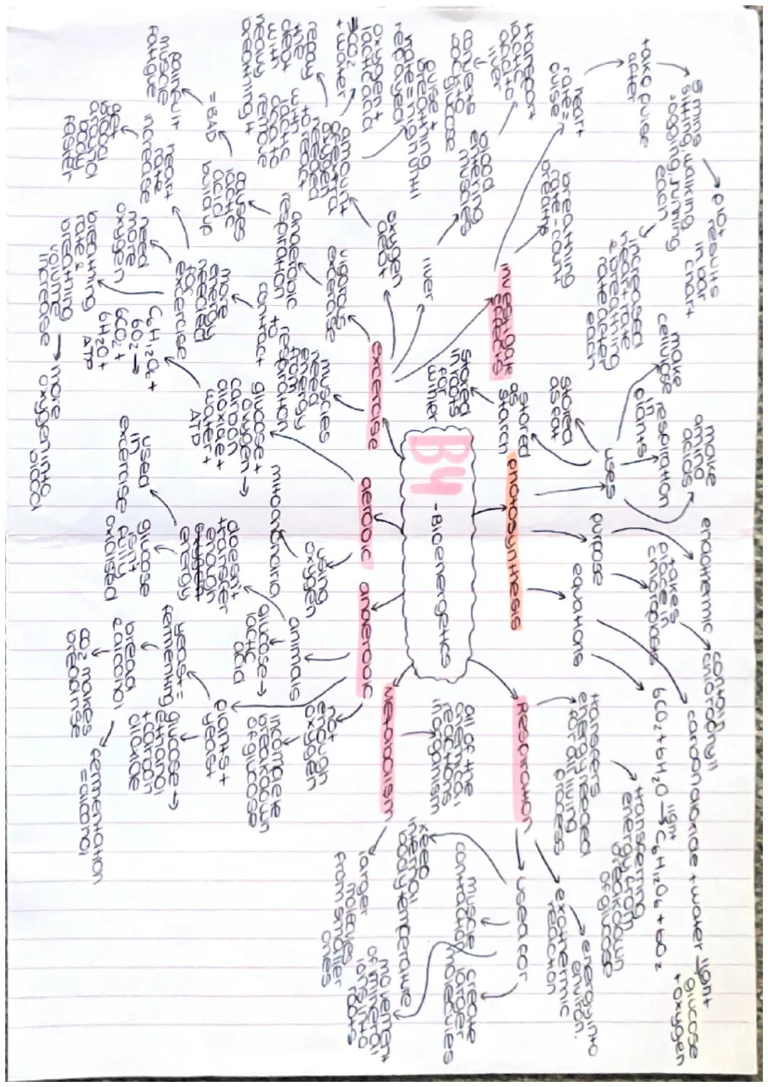 Growthe
Clones
DNA VECHICOtion
grawi
ONG
cell
aes
repicate
23
mitosis Pairs
Arom
contain
gene
de of the
comen
geneHo
foundin
charac
nucleus
