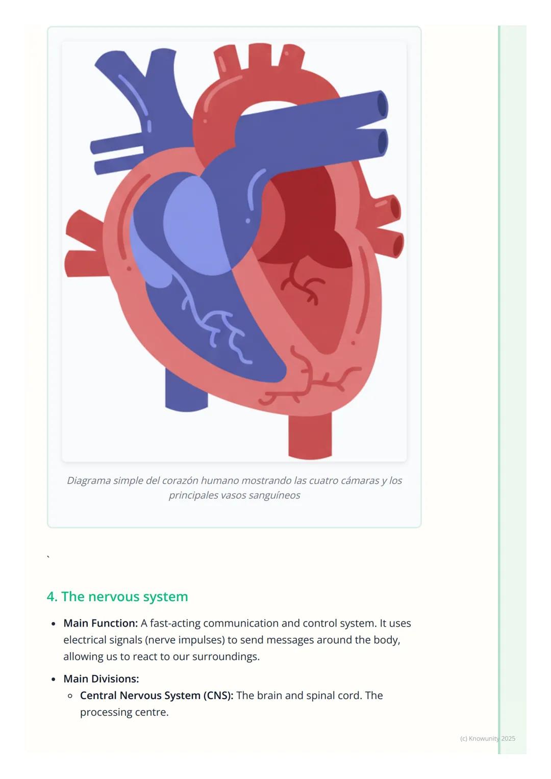 # Human Body Systems
An overview of body systems
Okay, so the human body is incredibly complex. It's not just one big thing,
but a collect