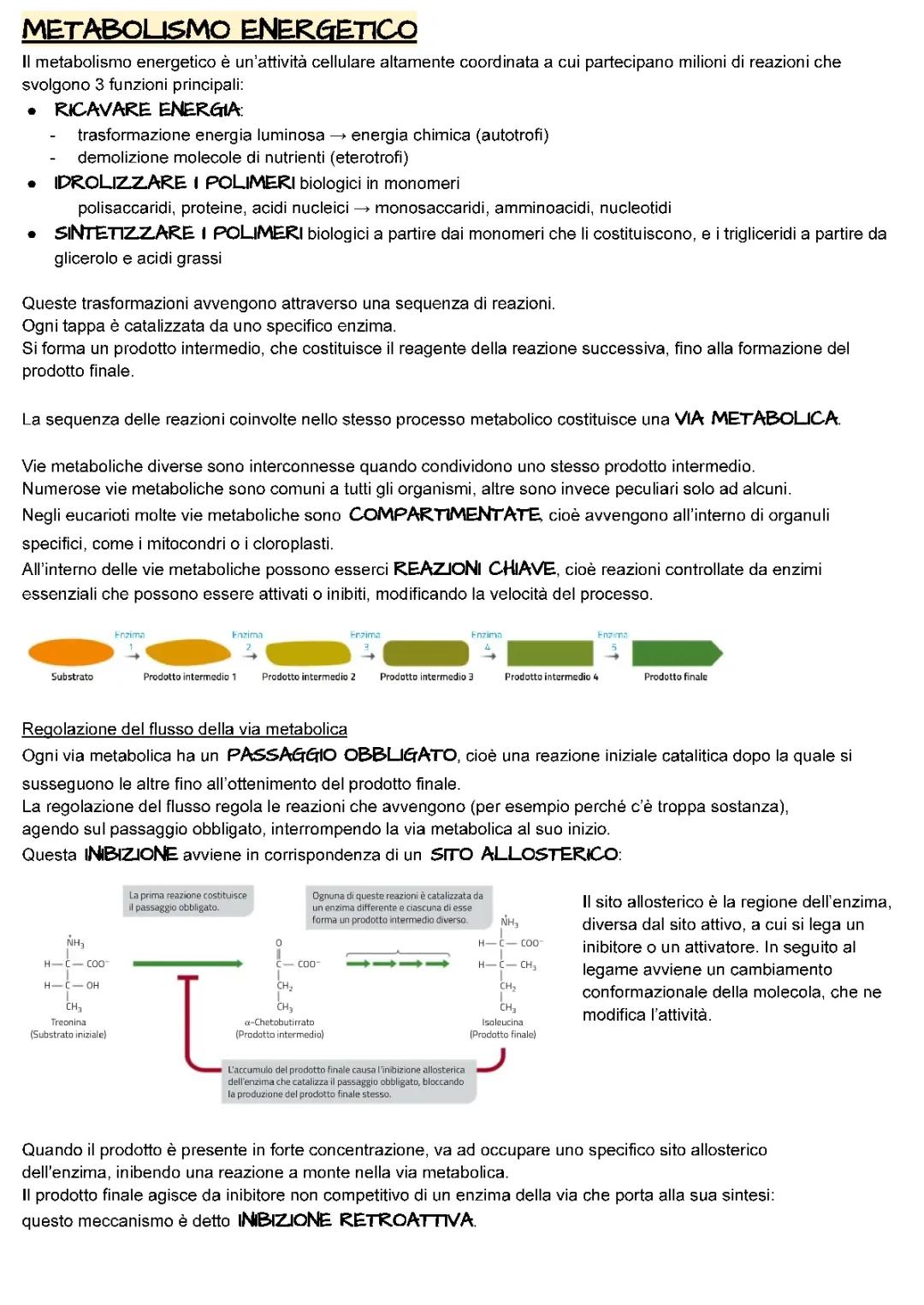 METABOLISMO CELLULARE