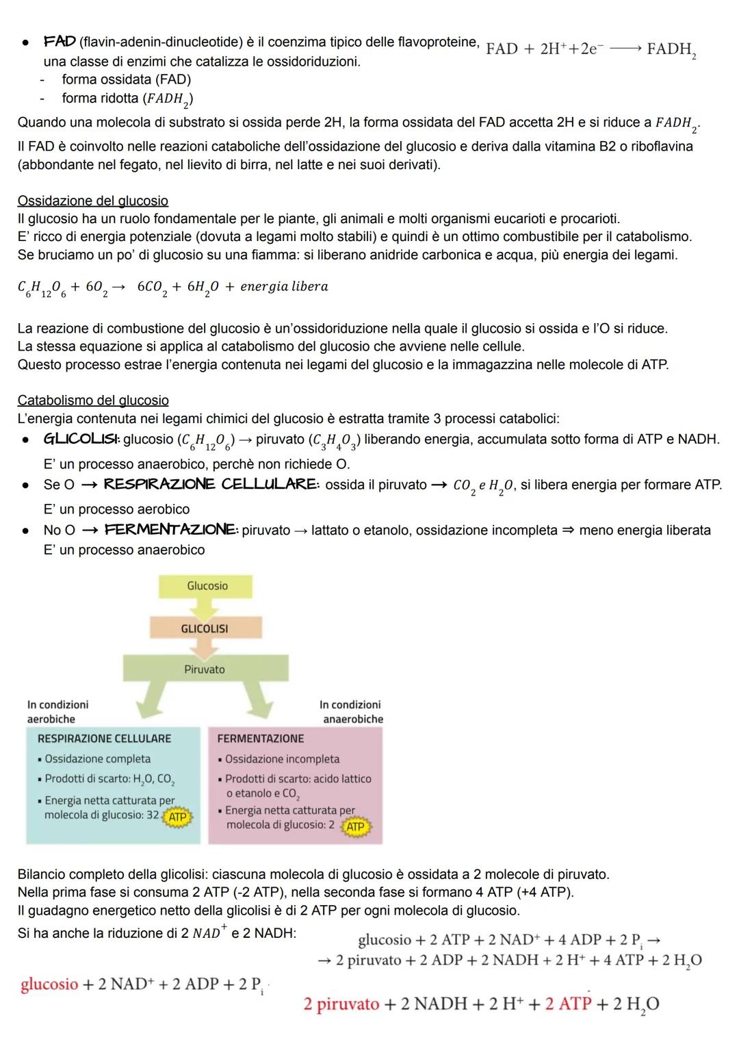 METABOLISMO ENERGETICO
Il metabolismo energetico è un'attività cellulare altamente coordinata a cui partecipano milioni di reazioni che
svol