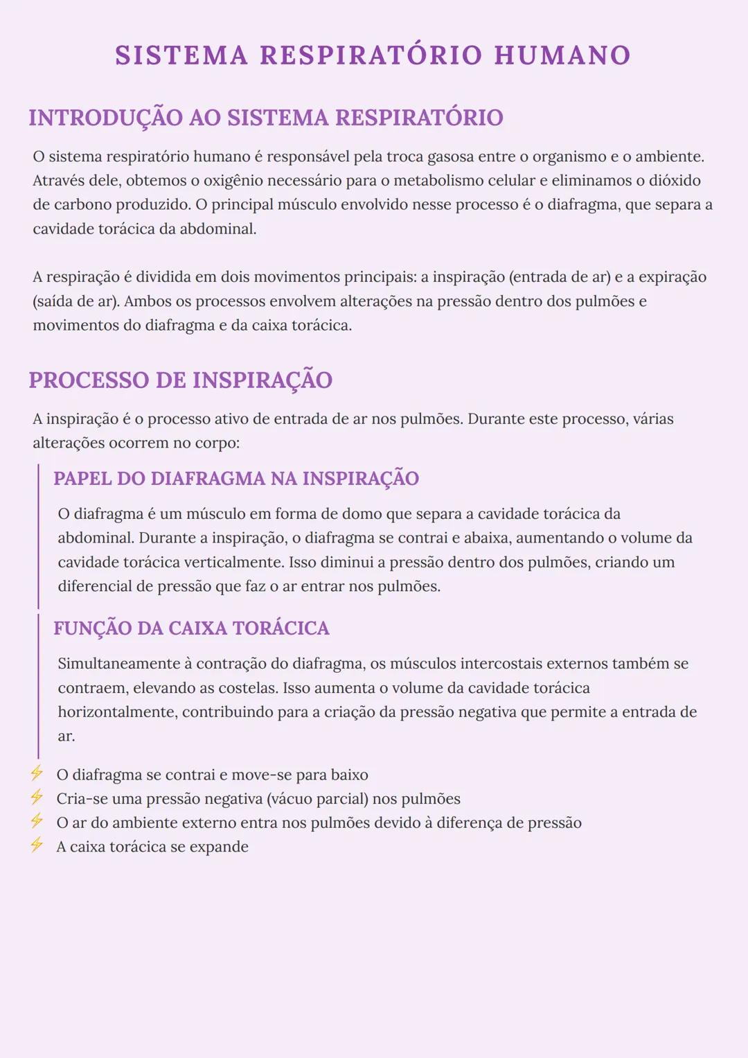 # SISTEMA RESPIRATÓRIO HUMANO
# INTRODUÇÃO AO SISTEMA RESPIRATÓRIO
O sistema respiratório humano é responsável pela troca gasosa entre o or